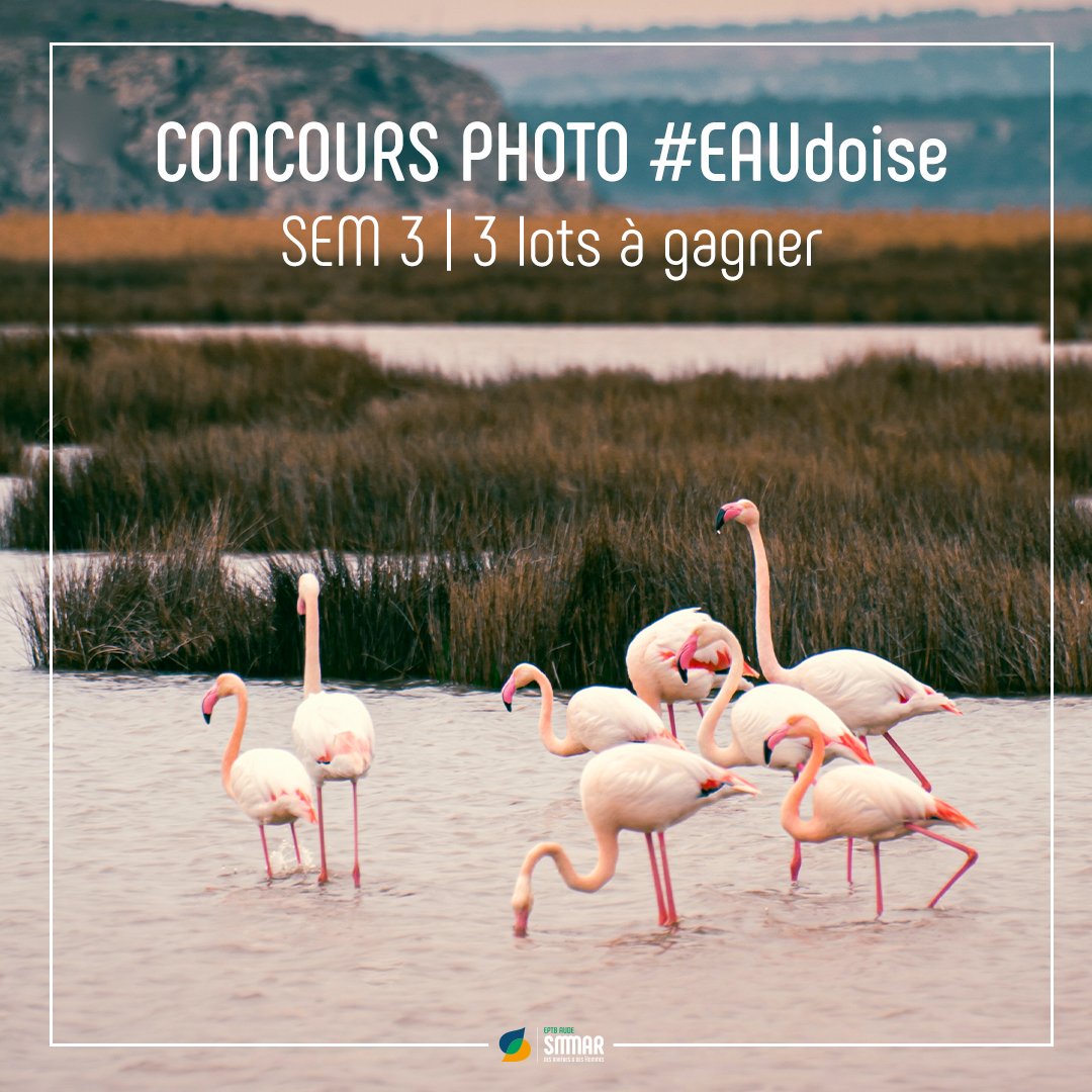 smmar_aude's tweet photo. #EAUdoise | La 3eme semaine du concours Instagram EAUdoise est lancée !📸Immortalisez vos plus beaux moments sur le bassin versant de l’#Aude, de la #Berre et du #Rieu et tentez de remporter le gros lot !👉https://t.co/lHiCcamrZl https://t.co/v3TrD4aAdR