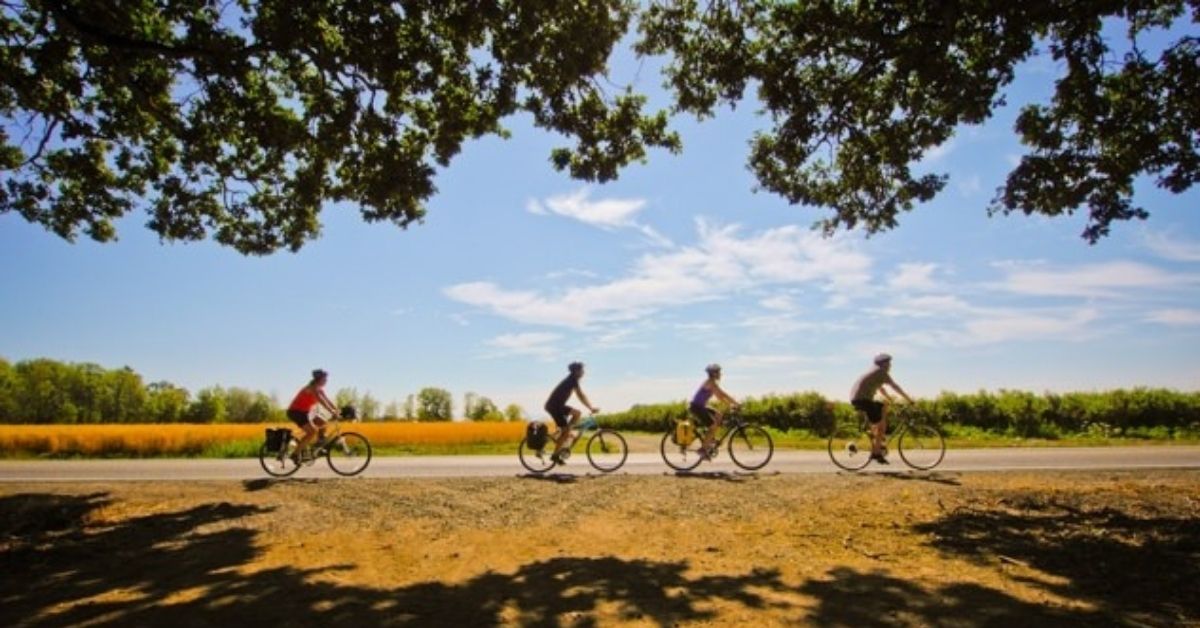 EnzoicSecurity's tweet image. Read How The City of Keizer Enhances Cybersecurity by Eliminating Compromised Passwords zcu.io/lYFA #compromisedpasswords #cybersecurity #activedirectory #GovTech