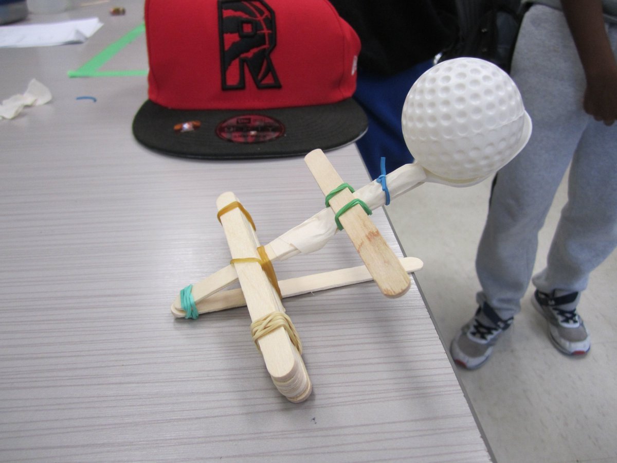 Forest View P.S. tweet media