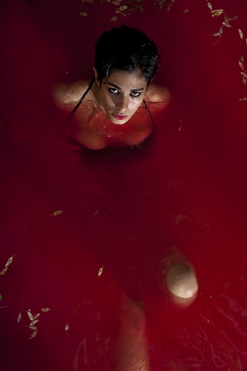 Dariush ⌐◨-◨ tweet media