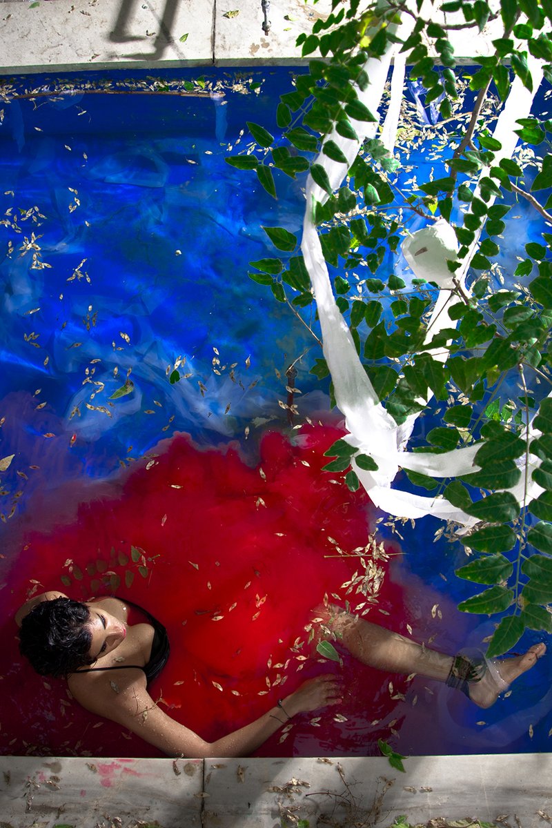 Dariush ⌐◨-◨ tweet media