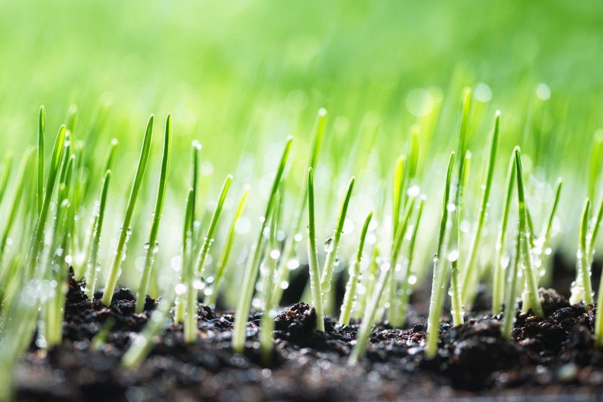 FertilizersEuro's tweet photo. The EU #fertilizer industry welcomes the objective of an integrated approach to nutrient management but regrets how the @EUCouncil conclusions fail to understand that the objective of #foodsecurity cannot be achieved without mineral fertilizers.

PR: https://t.co/iTTP5oM2wS https://t.co/A4foifvi7I