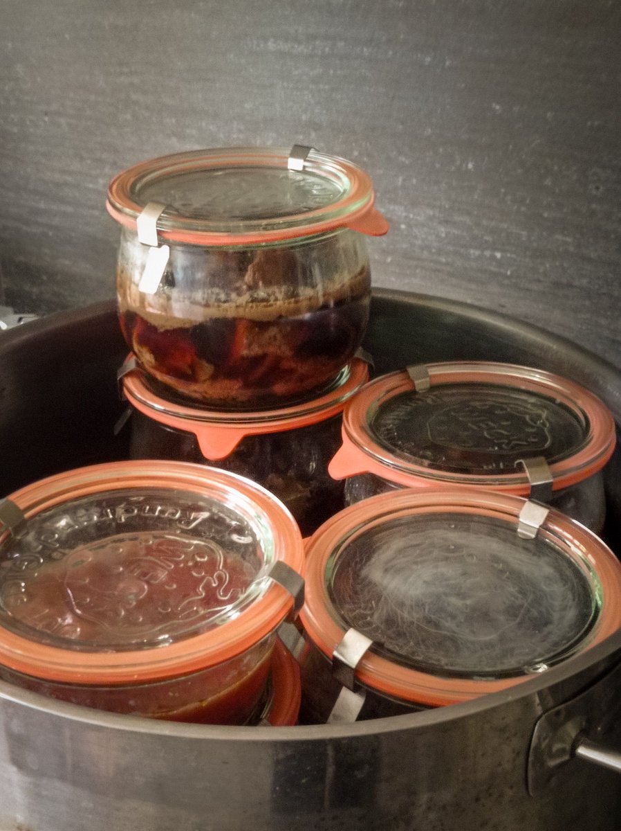 haut_gout's tweet photo. Die Einkochgläser habe ich, seit ich mich damit beschäftige, mein Wild ohne Plastik-Vakuumbeutel und Gefrierschrank haltbar zu machen.  Funktionieren seit 2015, nur Gummis habe ich ersetzt (und paar runtergeschmissen). 
Beste Methode und viel zu wenig bekannt! 👌 https://t.co/FVZSB0Zct1