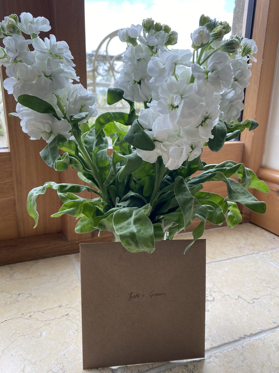 BelivanisEmma's tweet photo. All ready for the bride who is celebrating her wedding tomorrow at Eyam Hall and staying in our cottages with her family. #eyamhall #Eyam #wedding https://t.co/DvetThO15M