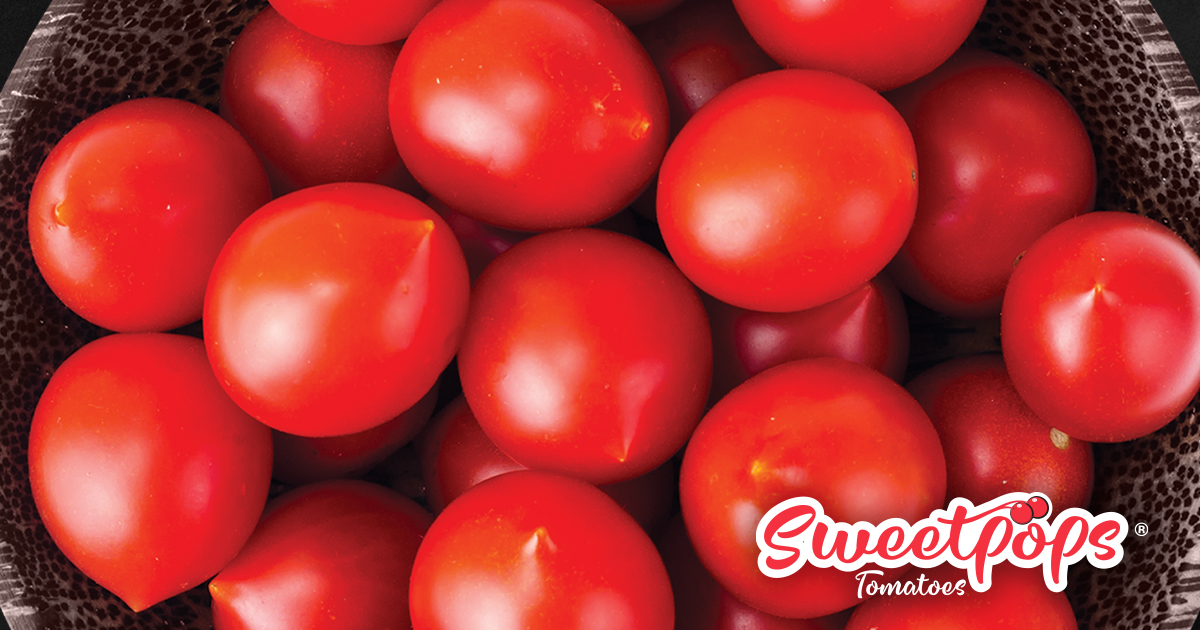 ShopRedSun's tweet photo. Have you heard about our #Sweetpops? They are a combination of refreshing #sweetness and perfect #snack size, this bite-sized #tomato will release an explosion of juicy #flavor that you just can’t stop snacking on!
Learn more: https://t.co/cMFzZ82bsM https://t.co/3LLY0dRwER