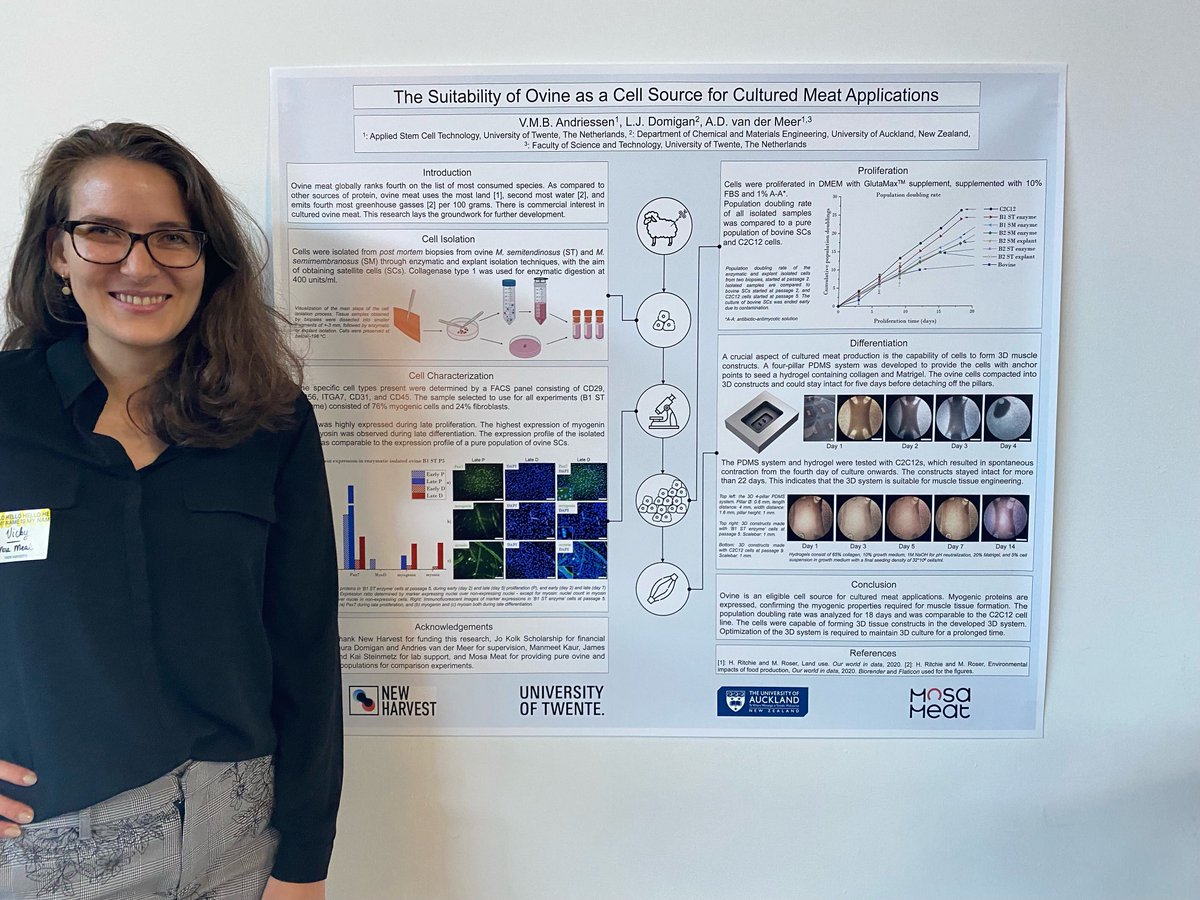 Vicky from ⁦⁦<a href="/mosa_meat/">Mosa Meat</a>⁩ presenting her work from her time with us in NZ. We miss you Vicky! ⁦<a href="/NewHarvestOrg/">New Harvest</a>⁩