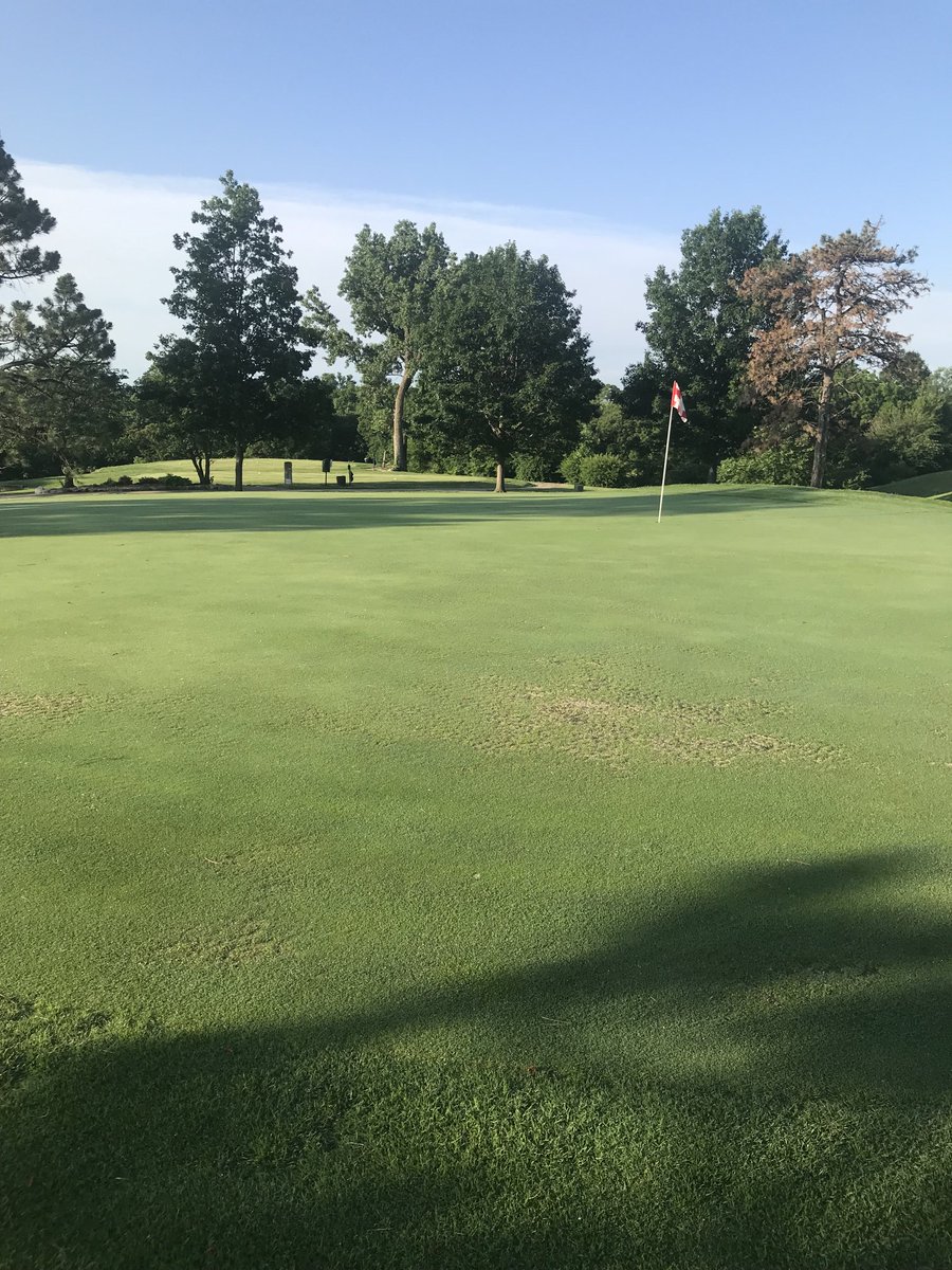 Mark McKain tweet media