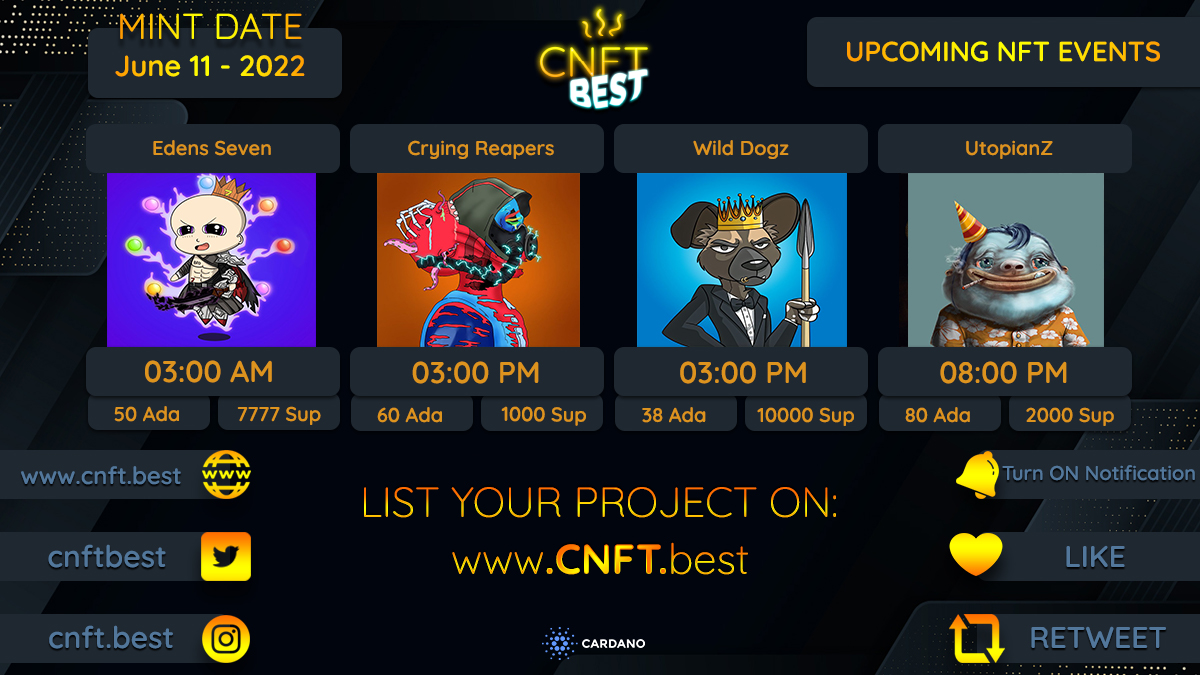 CNFT BEST 🏆 tweet media