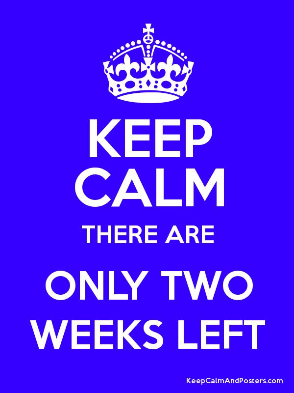 SCIPEI2021's tweet photo. only #twoweeksleft of our #summercashgiveaway- but dont panic- there are 14 days to buy online at https://t.co/YblHy3Nogp https://t.co/V6PuTAm2mv