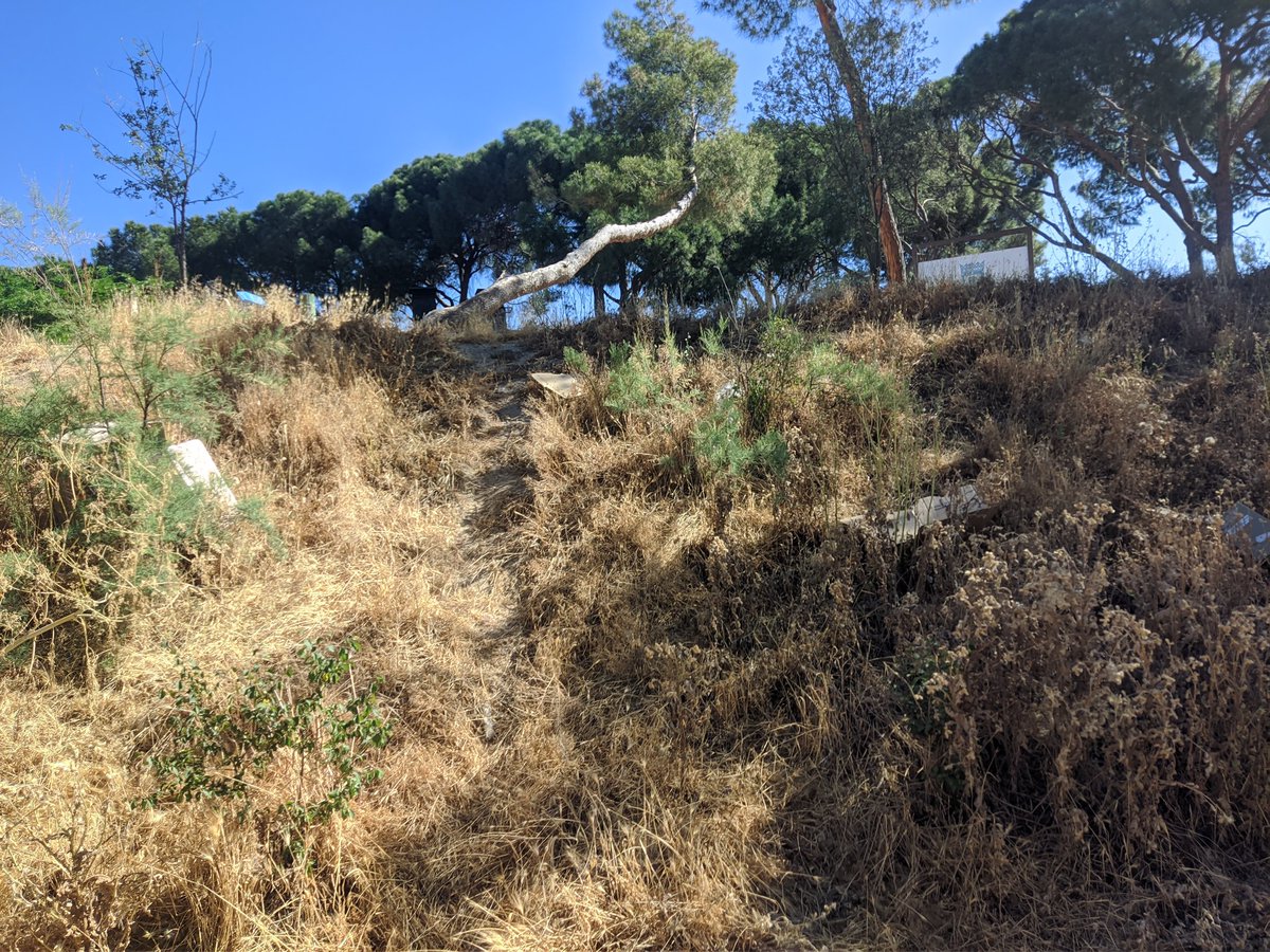 El restaurante La Parrilla del Embarcadero de <a href="/campo_madrid/">La Casa de Campo de Madrid</a> tiene abandonados varios residuos en el talud detrás de los cubos. <a href="/Lineamadrid/">Línea Madrid</a>