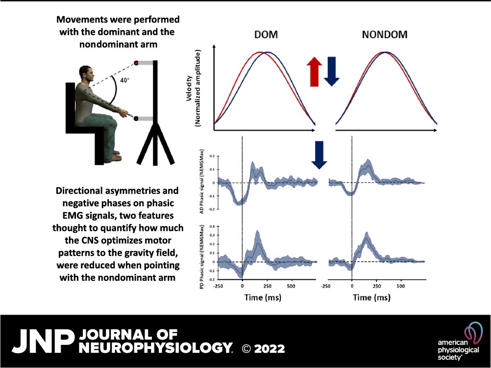 JNeurophysiol's tweet image. Muscle effort is best minimized by the right-dominant arm in the #gravity field by Gabriel Poirier, et al
ow.ly/TIl050JjI9p
#MotorPlanning #OptimalControl #Neuroscience #JNeurophysiol