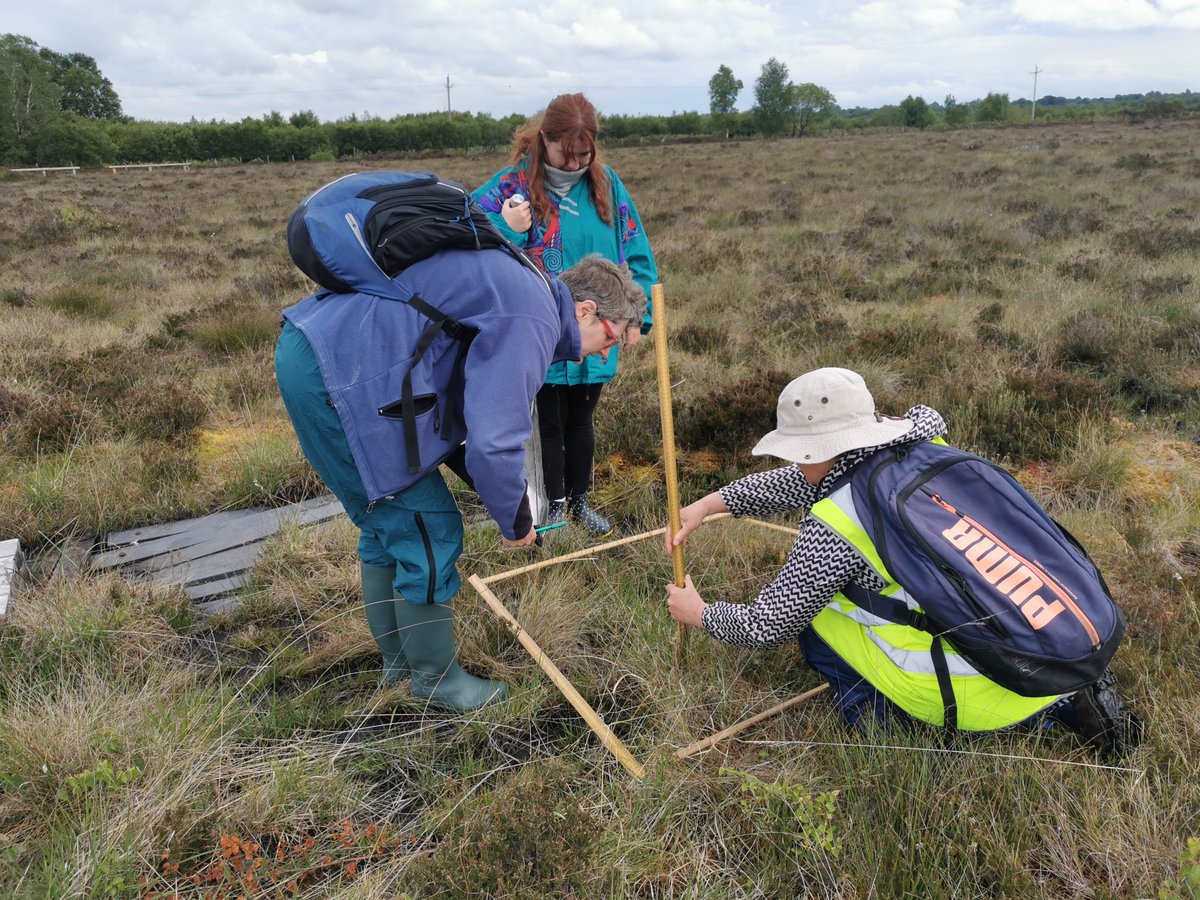 PeatlandConserv's tweet photo. Last week IPCC and volunteers completed 90 quadrats as part of the Large Heath butterfly habitat condition assessment. Three volunteers gave a collective total of 10 hours to complete 90 quadrats. Thank you to our dedicated volunteers and @TheHeritageCouncil.
#LargeHeath https://t.co/UPd4Rkh339