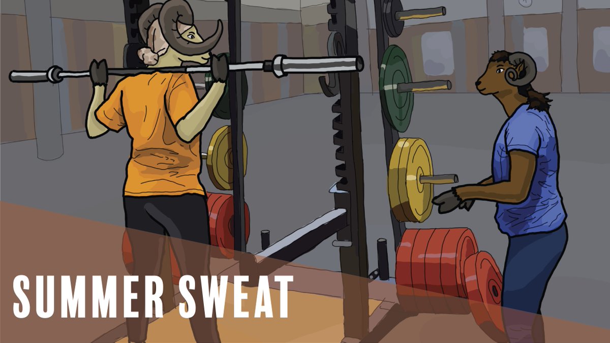 Get your sweat on with our Summer Sweat Series! This program will take place on Tuesdays &amp; Thursdays 10:00-11:00 a.m., running from July 5 - August 11. For more info, visit recsports.vcu.edu/programs/fitne…. Questions? Email fitness@vcu.edu.