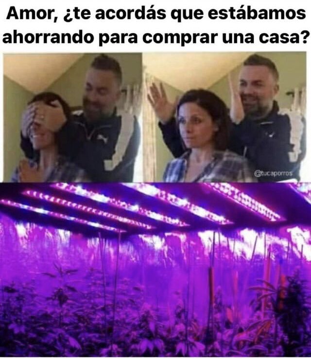 revistaTHC's tweet photo. ¿Sale una sorpresa de viernes? 😌 https://t.co/t4el3JuvUu