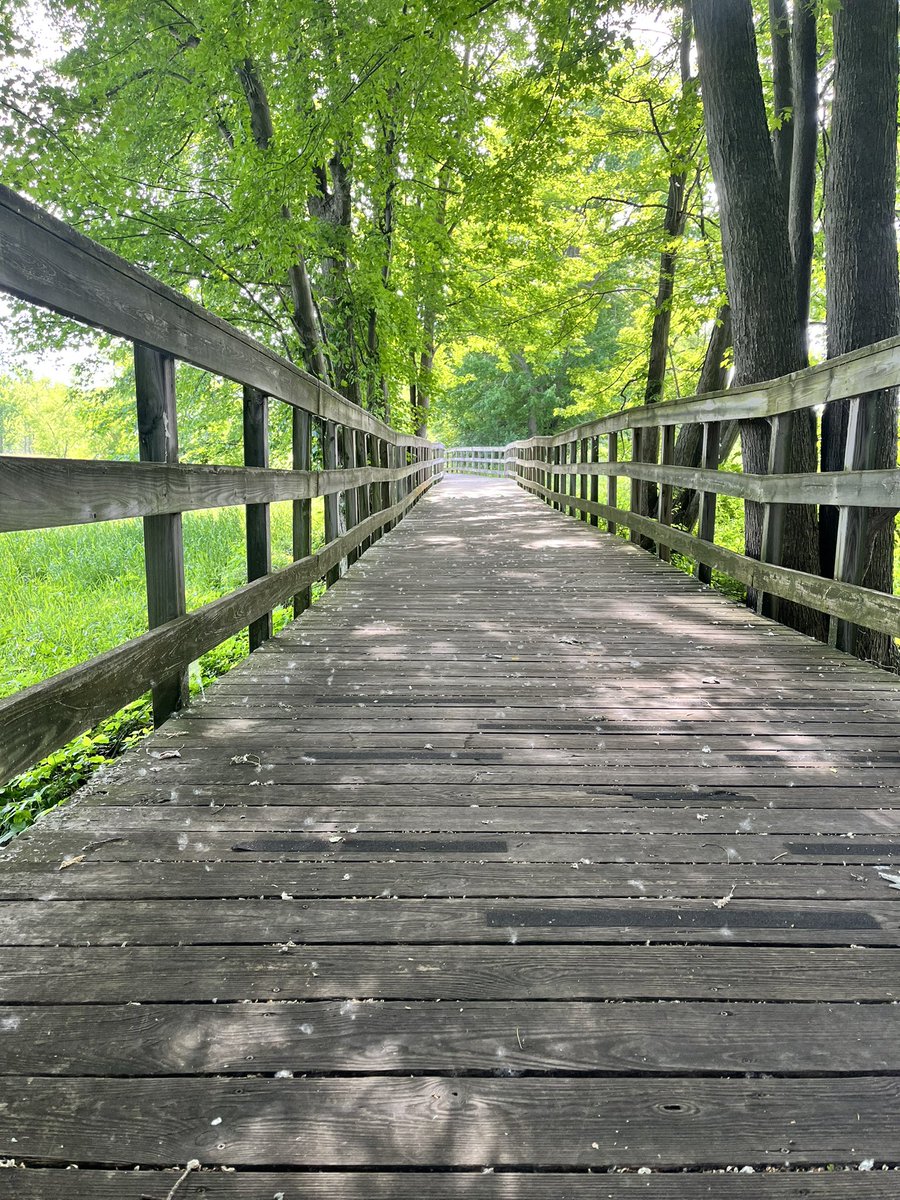 rossjmyers's tweet photo. @BettSpaghett79 @oriolesrise @BuckCityBreaks @yanxchick here are some of today’s #ThingsOfBeauty https://t.co/uA0Vwh3ITb