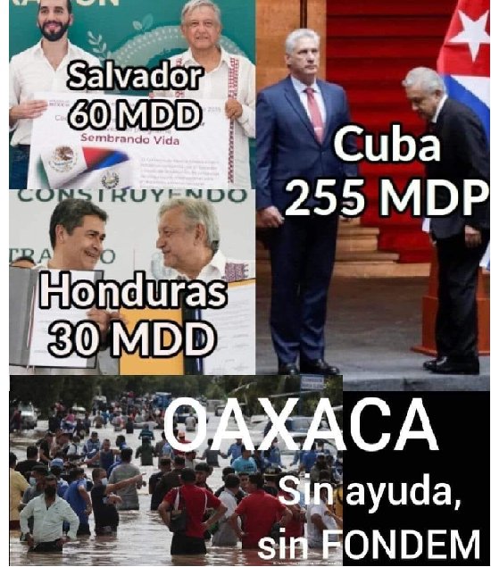 Mar Sanchez tweet media