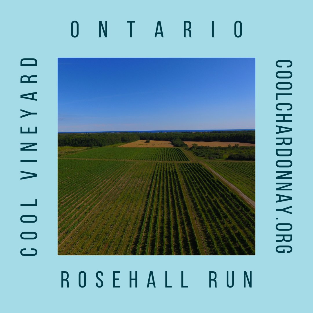 Meet <a href="/Rosehall_Run/">Rosehall Run Winery</a>'s co-owner and winemaker Dan Sullivan at #i4C22. coolchardonnay.org/page-schedule/
Visit Rosehall Run: rosehallrun.com