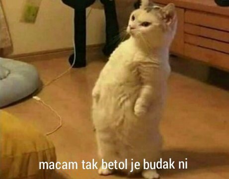 1Ocsn's tweet photo. me when re-read my own tweet: https://t.co/F0vxhoS6QX