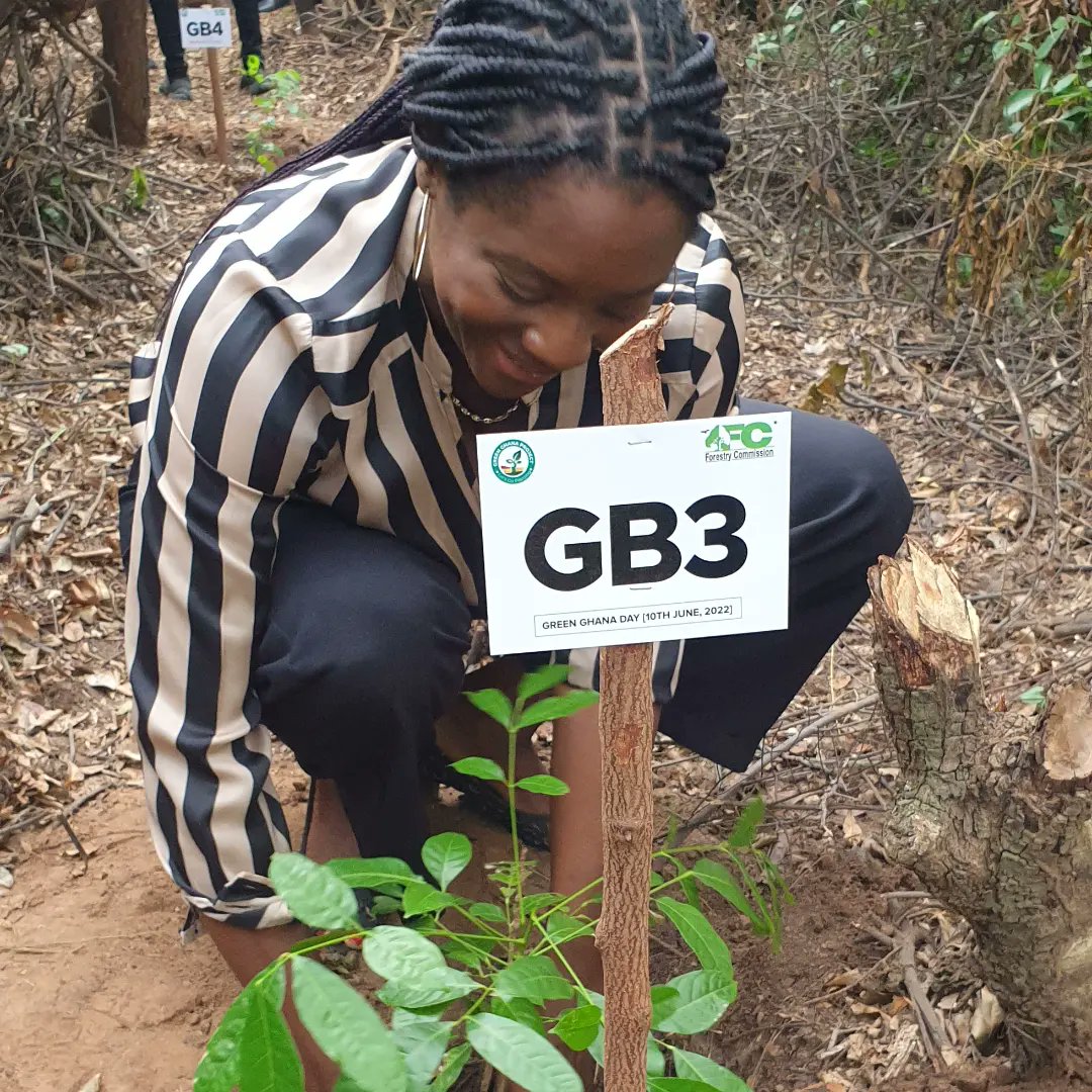 beverleyokoye's tweet photo. They say when the last tree dies, the last man dies”. We are working towards contributing positively to climate change actions. 
Let’s do this together! Plant a tree now for the future! #green #Treeplanting #Notaluxurybutamust #CalltoAll https://t.co/W9HHRBjNbU