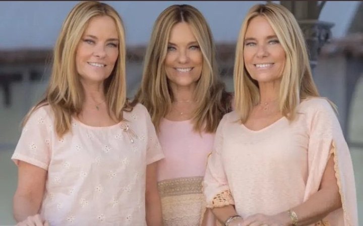 Omento, meso y ligamento