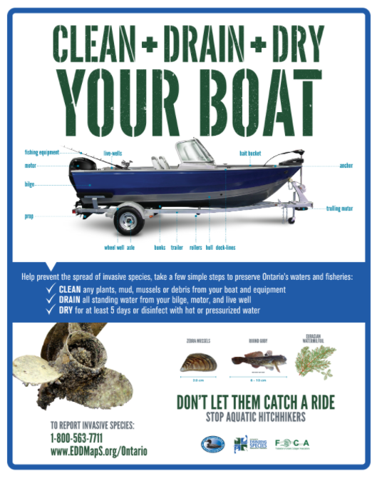 Lake_Simcoe's tweet image. As anglers and boaters, it is up to us to do our part and protect these areas we love so they can be enjoyed for generations to come. You can prevent the spread of invasive species by taking the time to Clean, Drain, Dry every time you leave the water. #CleanDrainDry #PlayCleanGo