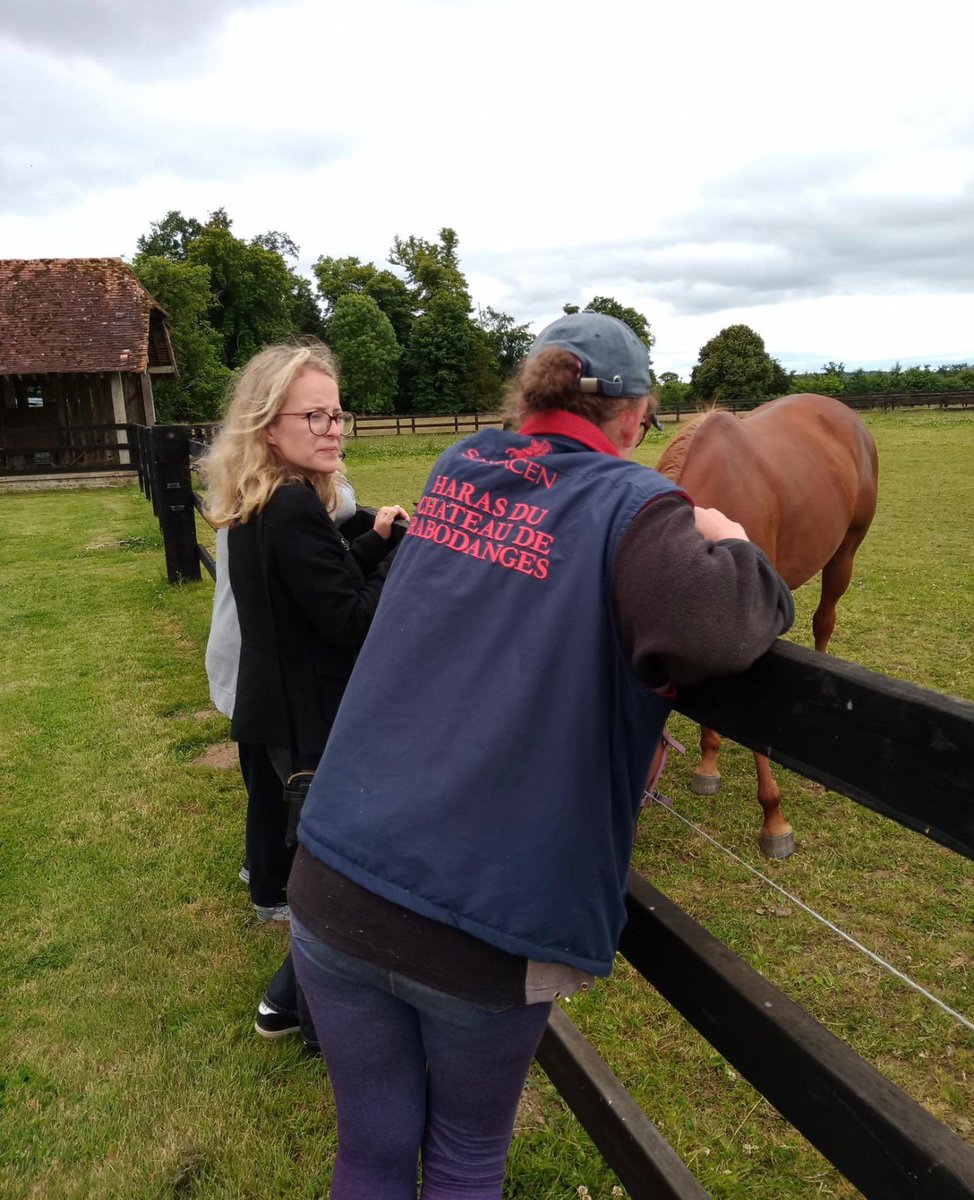 SoleneGibault's tweet photo. 🐴 Quelle joie de clore ces semaines de campagne au Haras du château de #Rabodanges !
Députée, je m’emploierai à soutenir et à valoriser l’excellence de notre filière équine que je connais bien 🏇
#AvecVous #Orne https://t.co/b0J9bYNjEF