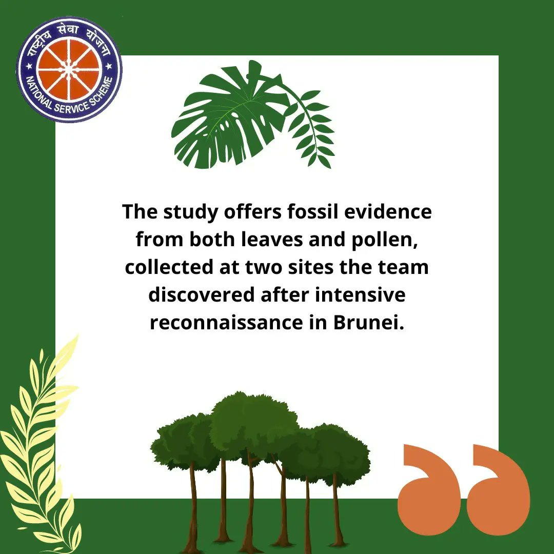 NSS_IITD's tweet photo. Fossil leaves in wet tropics are very rare because of extensive forest cover and deeply weathered soils that obscure rock exposures. Researchers did the first study of leaf fossils conducted in nation of Brunei on the island of Borneo and have revealed really useful information. https://t.co/qWRYlVO5ol
