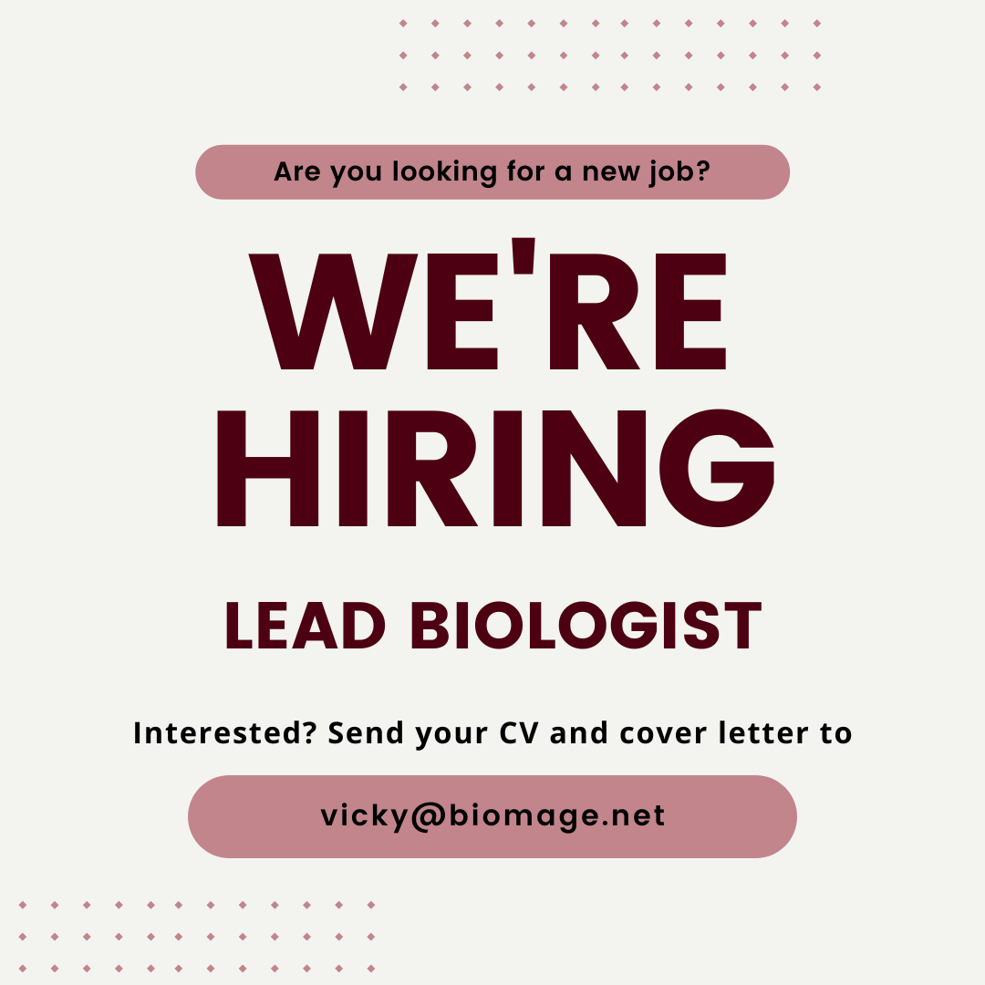 BiomageLtd's tweet photo. We are looking for a Lead Biologist to join the Biomage team! 

An exciting opportunity to join a passionate team that deeply cares about human health and technology.

Full details here: https://t.co/Wd8wL1BqXO. Please retweet!

#hiring #remotework #sciencejobs https://t.co/MmTlIPHPDO