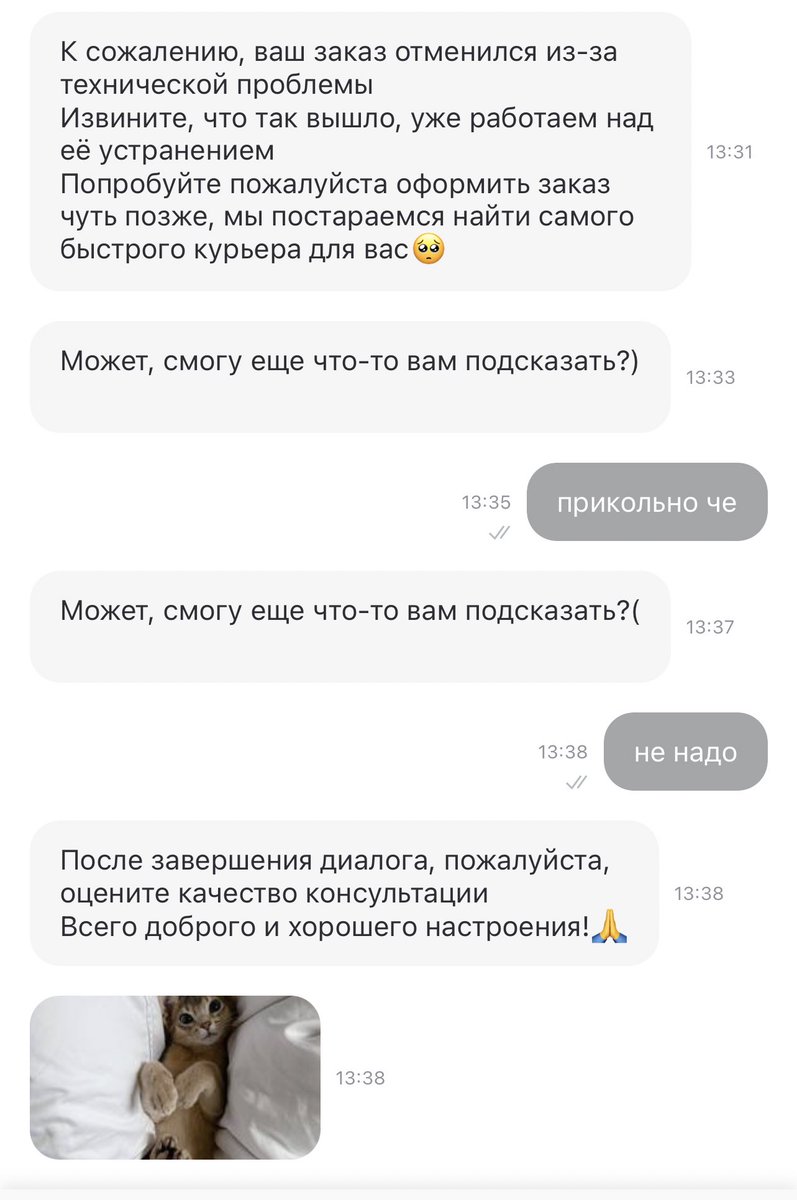 seoktinyyy's tweet photo. спасибо большое деливери клаб, который отменил мне заказ, при этом курьер уже позвонил в домофон

приятного аппетита мне фотка кота была достаточно сытной https://t.co/6XiwioNX1V