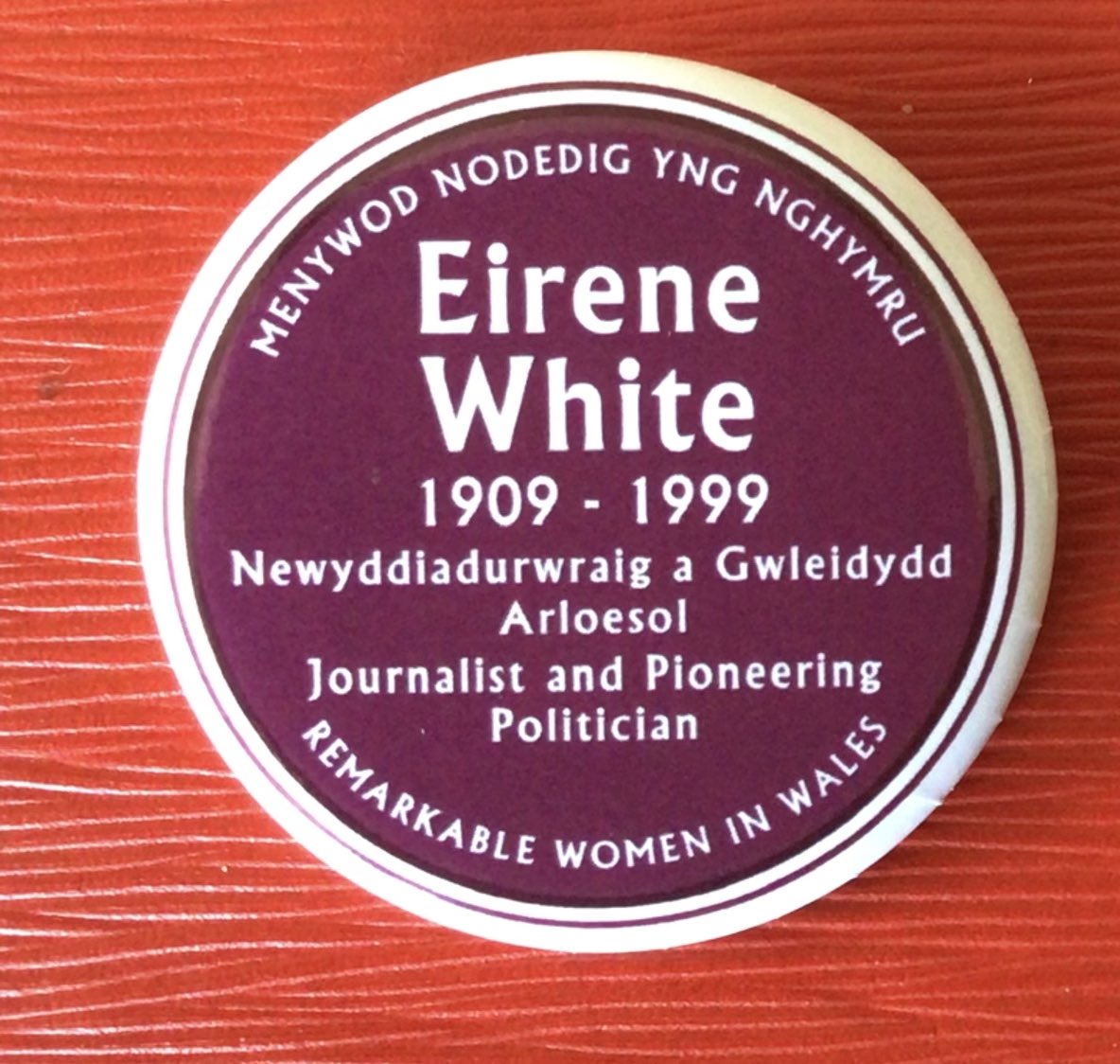 RTHondavehanson's tweet photo. Great recognition at Flint town hall for former @WelshLabour MP Eirene white, MP for Flint East (now partly Delyn )1950-1970 &amp; later a labour peer. 

Eirene was a minister in the foreign &amp; home offices under Harold Wilson.

The @purpleplaques was unveiled at the town hall today. https://t.co/rBhxhNlEDi