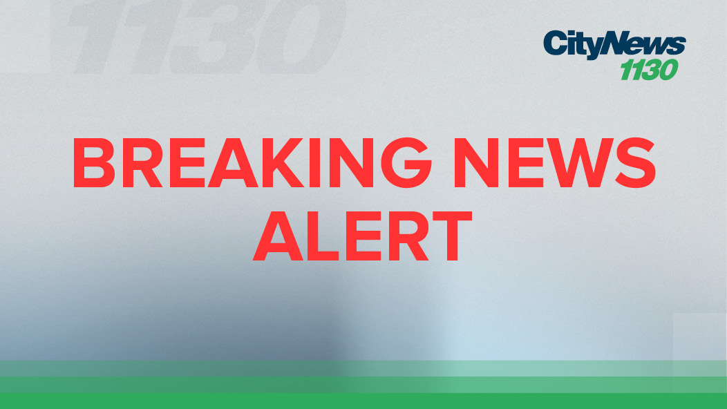 #BREAKING NEWS: The U.S. is lifting its requirement that arriving international air travelers take a COVID-19 test within a day before boarding their flights, easing one of the last remaining mandates meant to contain the spread of the coronavirus.

vancouver.citynews.ca/2022/06/10/us-…