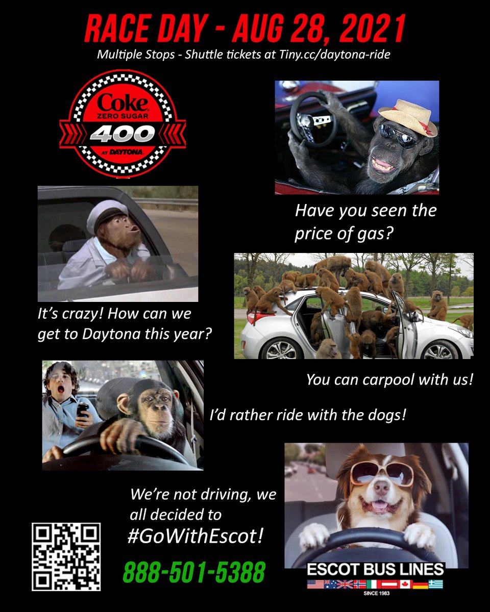 escotbuslines's tweet photo. Coke Zero Sugar 400 Shuttle Tickets are still available!  Go to https://t.co/3rT7kc7KKH to book your round-trip Daytona tickets for race day (or you can always carpool on I-4)
Save money, time, parking, and your nerves.
#GoWithEscot #coke400 #daytonaraceway https://t.co/2Xl5sI5aJL