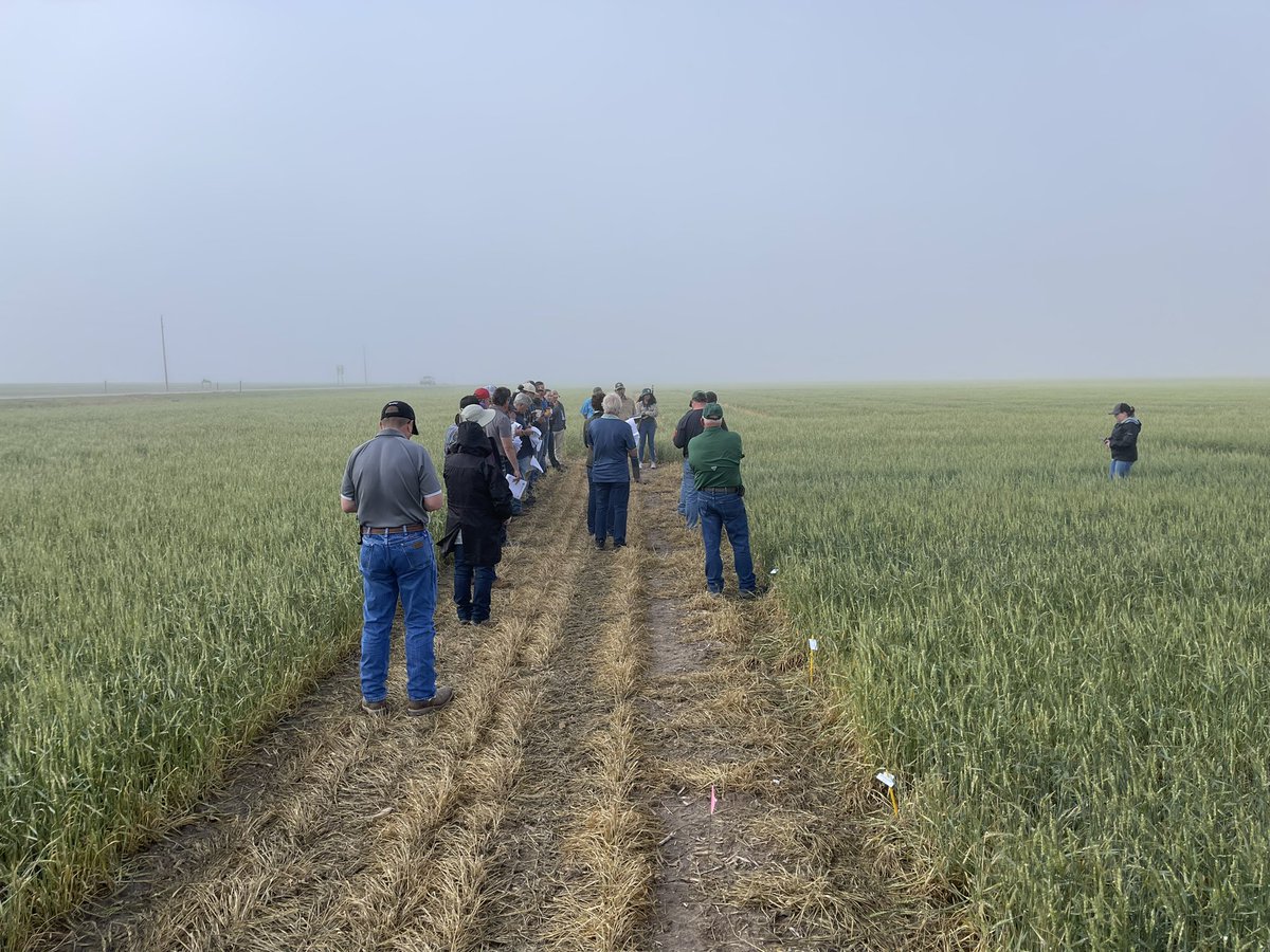 Troy Gerding tweet media