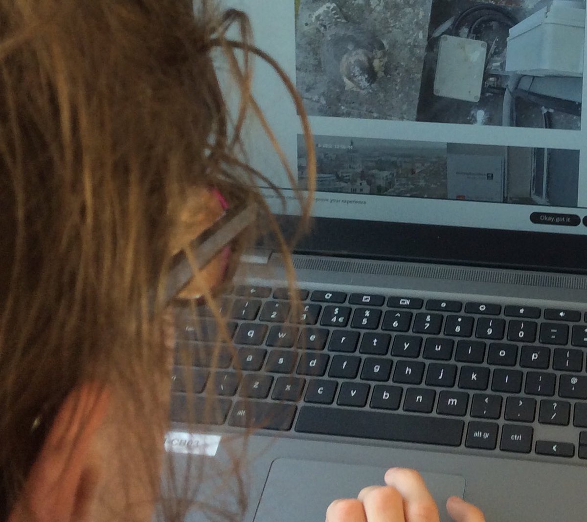 TirMorfa's tweet photo. #ytmLlandegla have enjoyed watching wild webcams. ‘The seals were the cutest thing in the whole world!’ One pupil said. #30DaysWild #ytmscitech https://t.co/AJKWxockXg