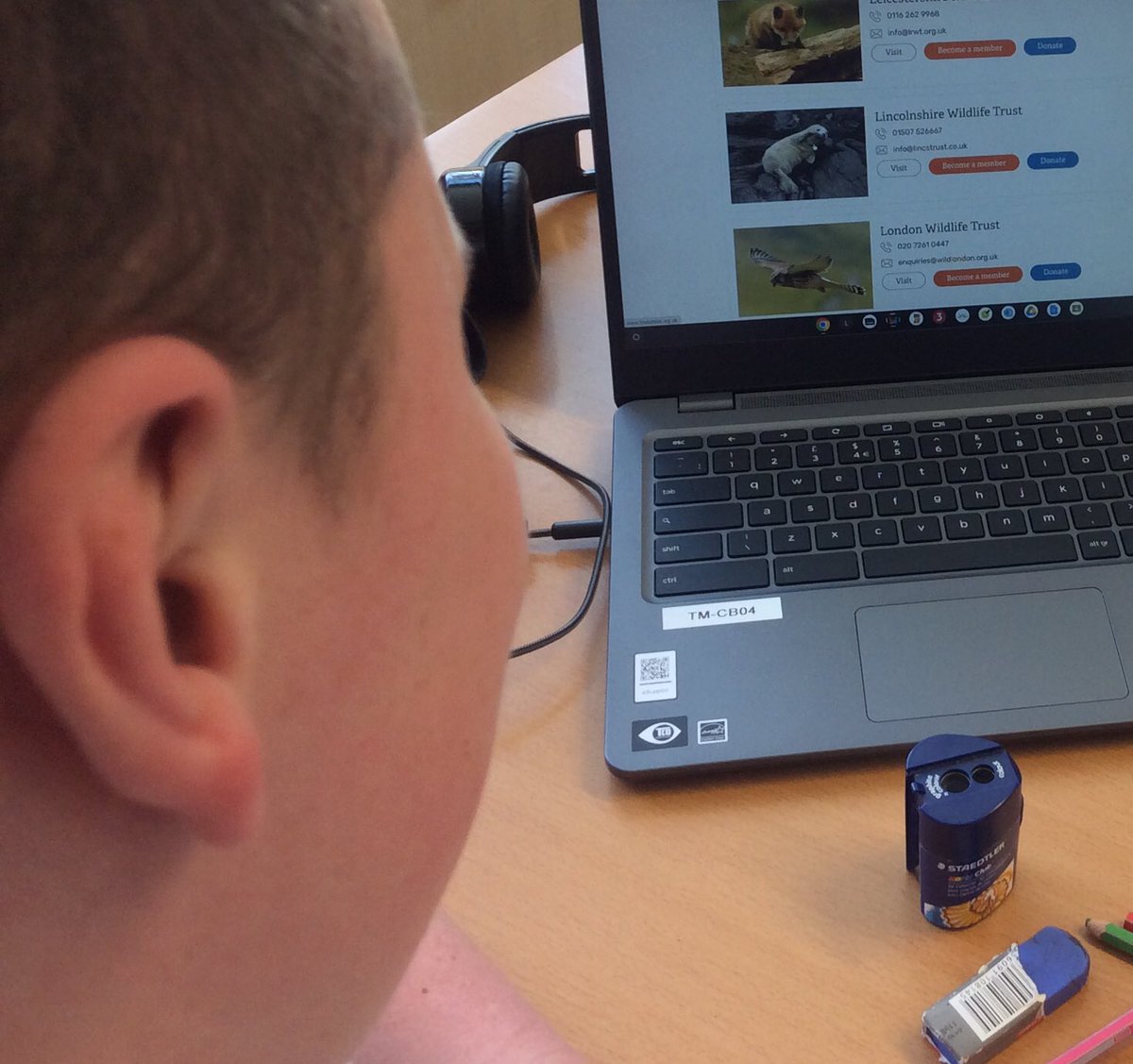 TirMorfa's tweet photo. #ytmLlandegla have enjoyed watching wild webcams. ‘The seals were the cutest thing in the whole world!’ One pupil said. #30DaysWild #ytmscitech https://t.co/AJKWxockXg