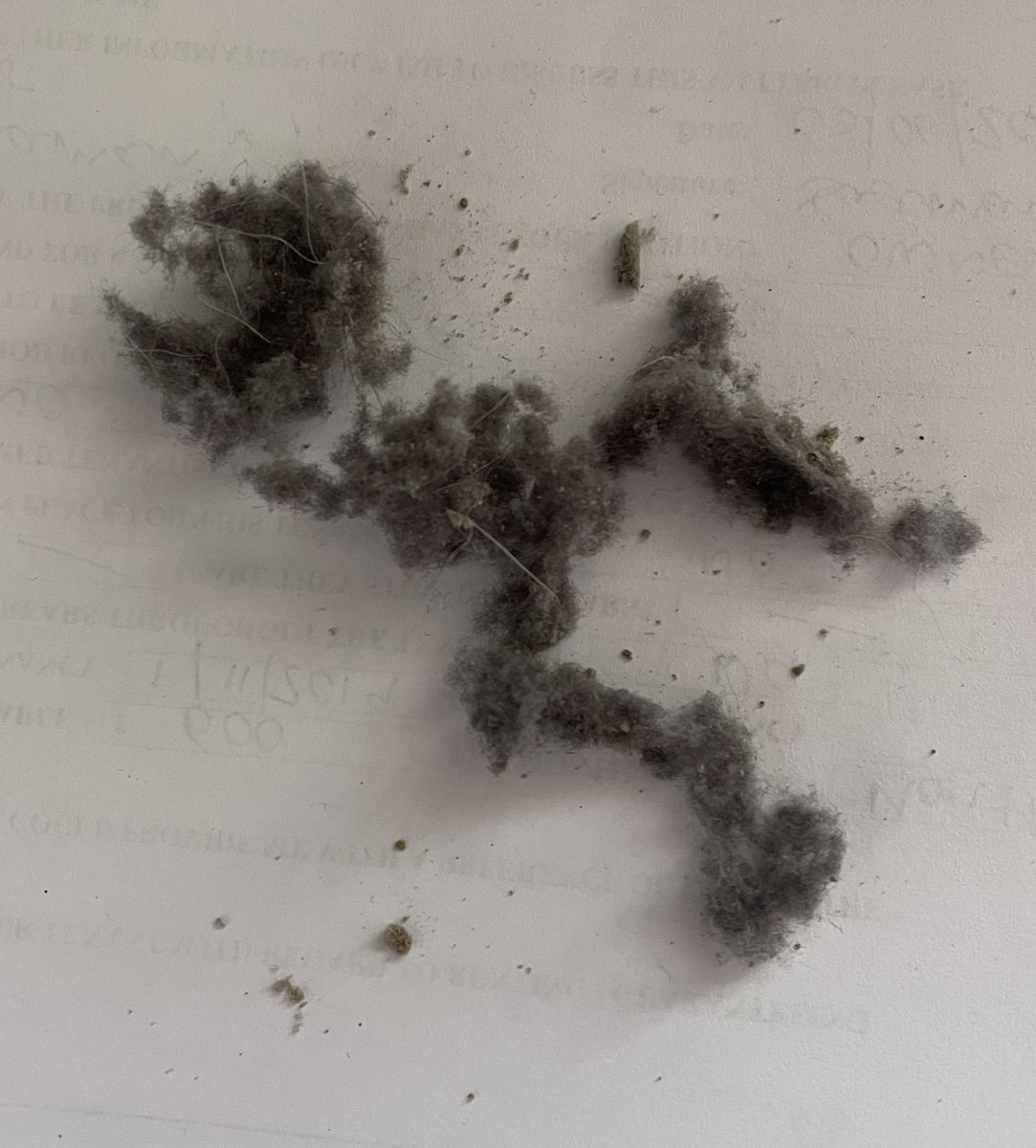 wolfdaedalus's tweet photo. When you hoover the back of your @Xbox Series X https://t.co/OuseRWTKXX