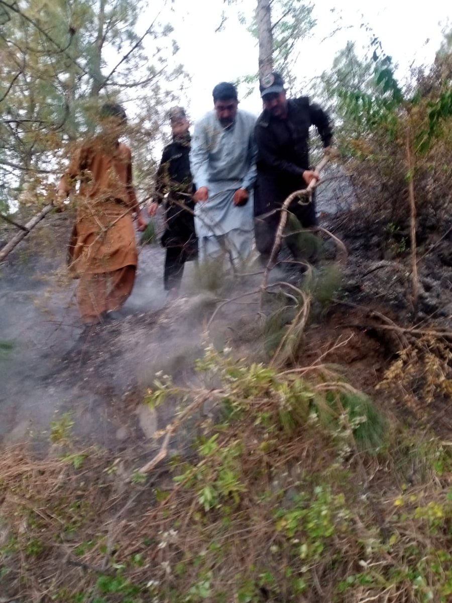 FEWDKPGovt's tweet image. #FireUpdates;

Upper Swat Wildlife Division:                 Fire erupted at ucharro Gabina Kass Tehsil Matta District Swat.  Wildlife staff, police and local community rushed to the site and controlled the fire.
#KPForest
#KPWildlife