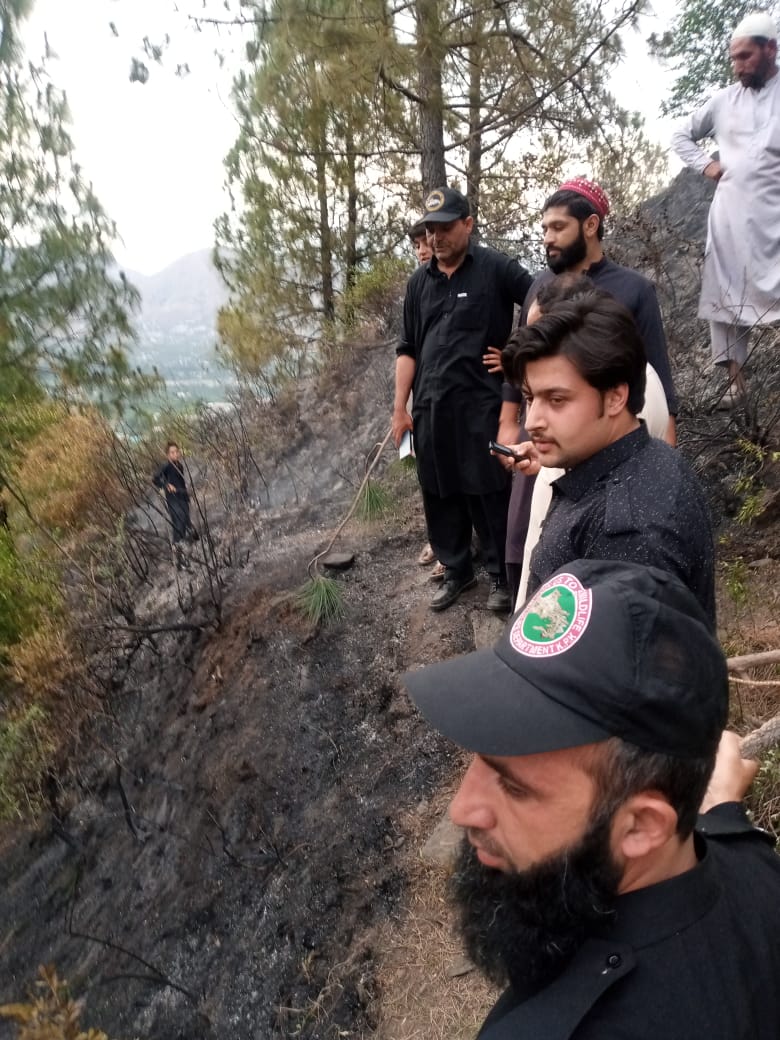 FEWDKPGovt's tweet image. #FireUpdates;

Upper Swat Wildlife Division:                 Fire erupted at ucharro Gabina Kass Tehsil Matta District Swat.  Wildlife staff, police and local community rushed to the site and controlled the fire.
#KPForest
#KPWildlife