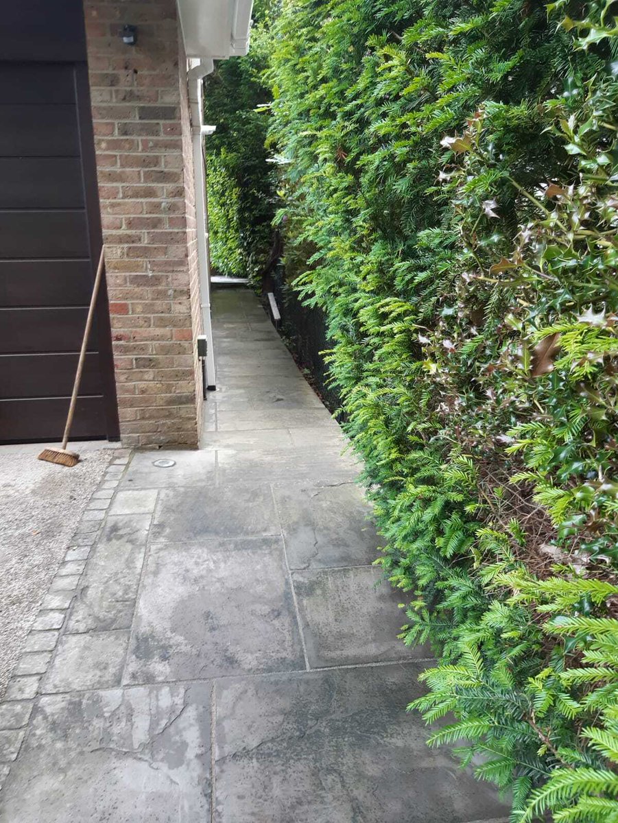 Access Builders & Property Maintenance tweet media