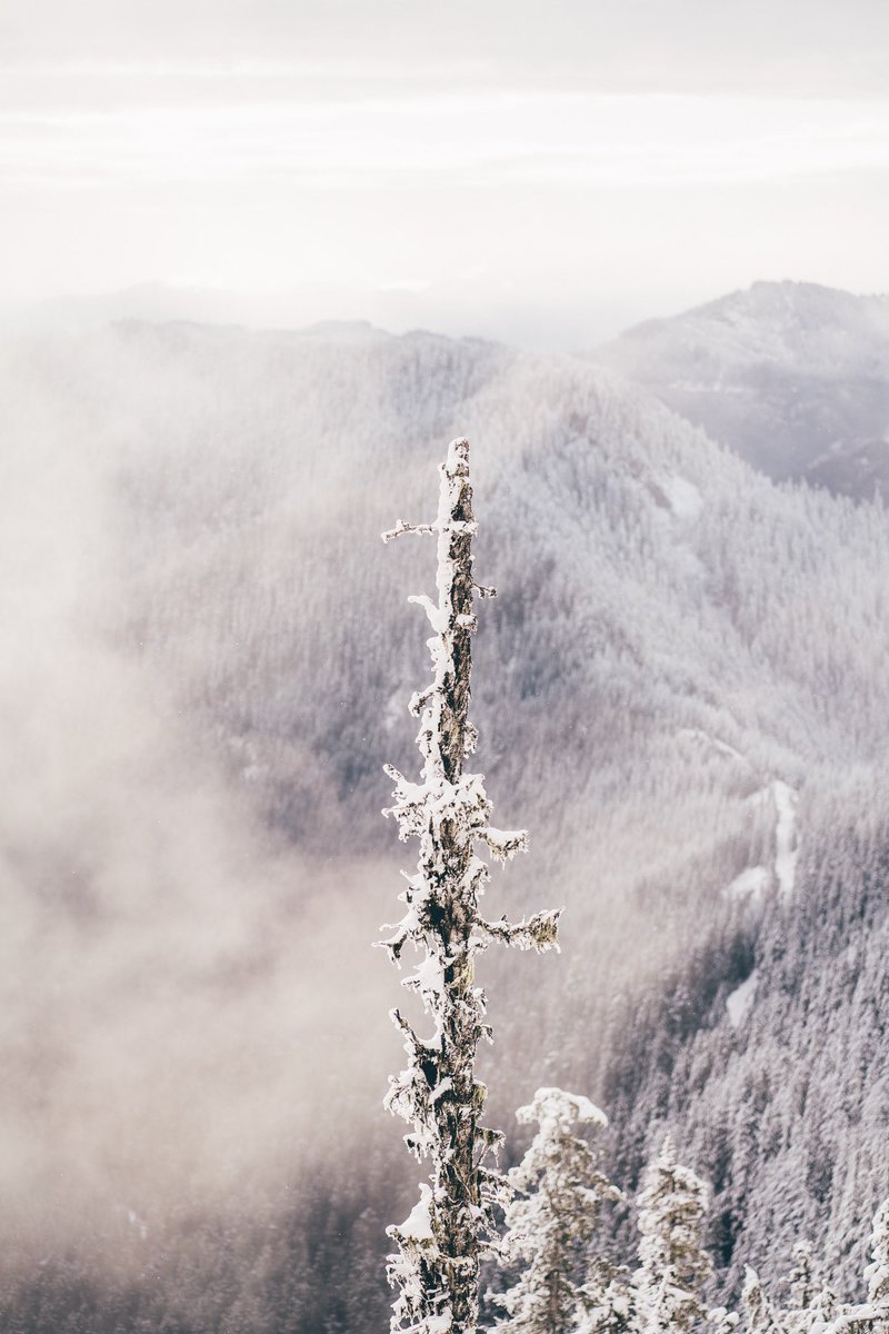 kivraan's tweet photo. From a morning I spent in a winter wonderland. https://t.co/2MnFBoQJ4v