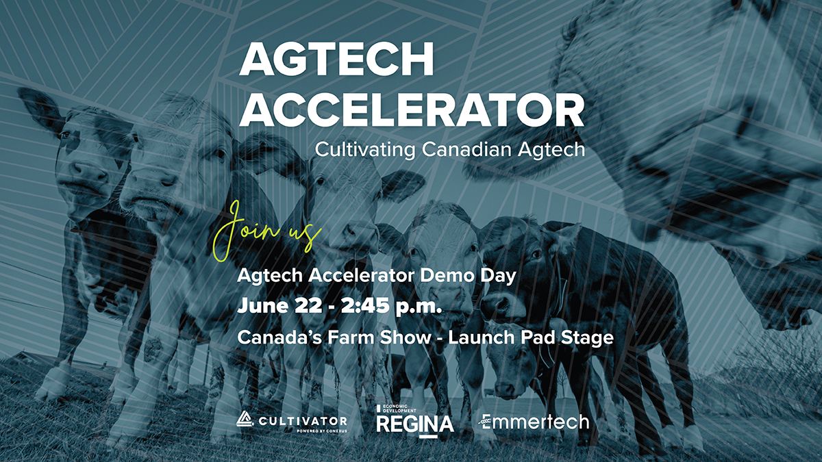 smartbellio's tweet photo. We are at Canada's Farm Show on the Launch Pad Stage on June 22nd! Come over and hear us and some of the top AgTech Startups from Canada and the UK! @cultivatorsk #agtechaccelerator #demoday https://t.co/NRFB4Cts92
