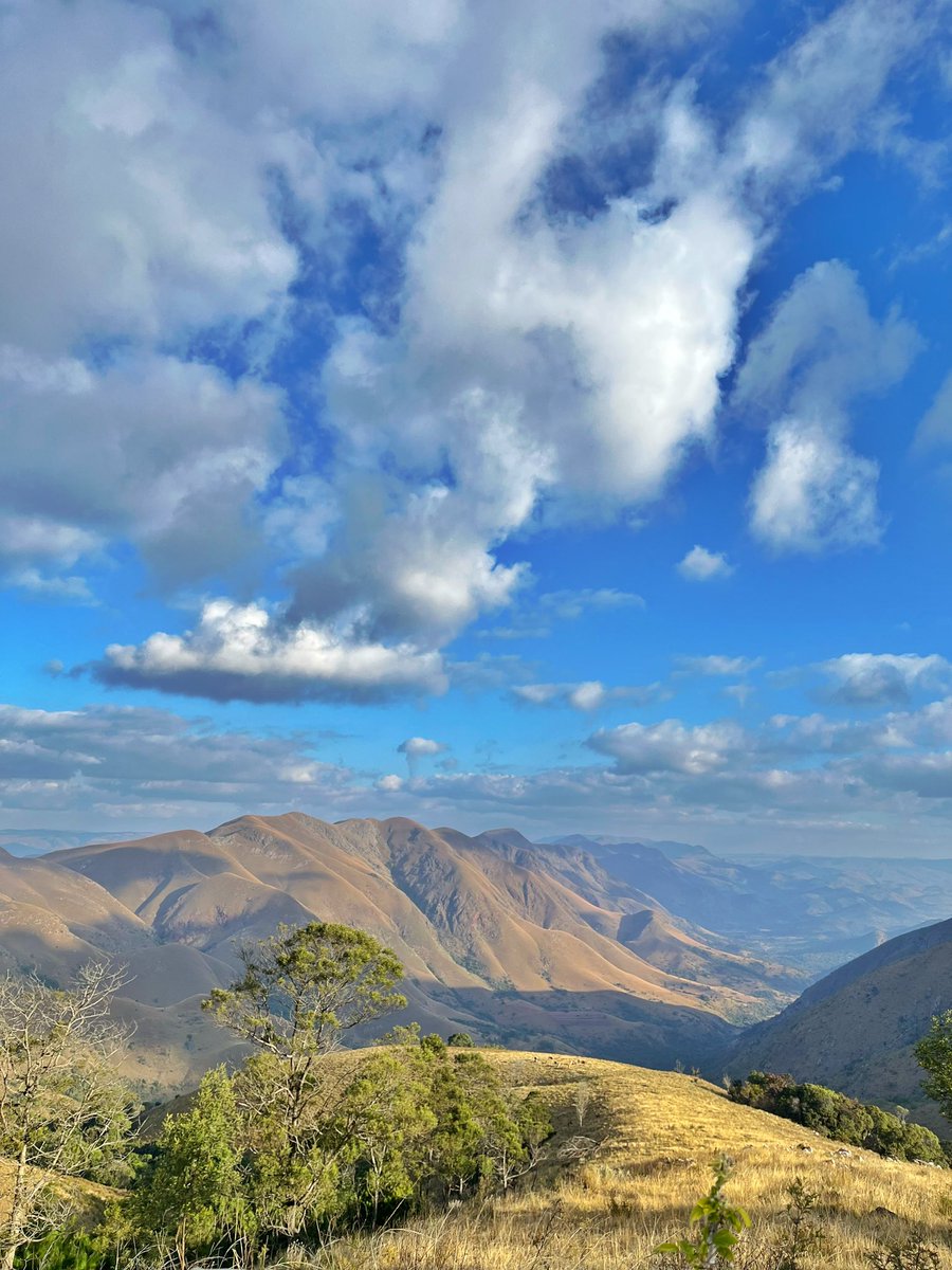 Dineo Zonke (@dineo_zonke) on Twitter photo I started off my weekend by exploring the gorgeous Makhonjwa Mountains in my <a href="/Columbia_RSA/">Columbia Sportswear</a> fleece 🍃
#MadeForOutside
#ColumbiaSouthAfrica I started off my weekend by exploring the gorgeous Makhonjwa Mountains in my <a href="/Columbia_RSA/">Columbia Sportswear</a> fleece 🍃
#MadeForOutside
#ColumbiaSouthAfrica