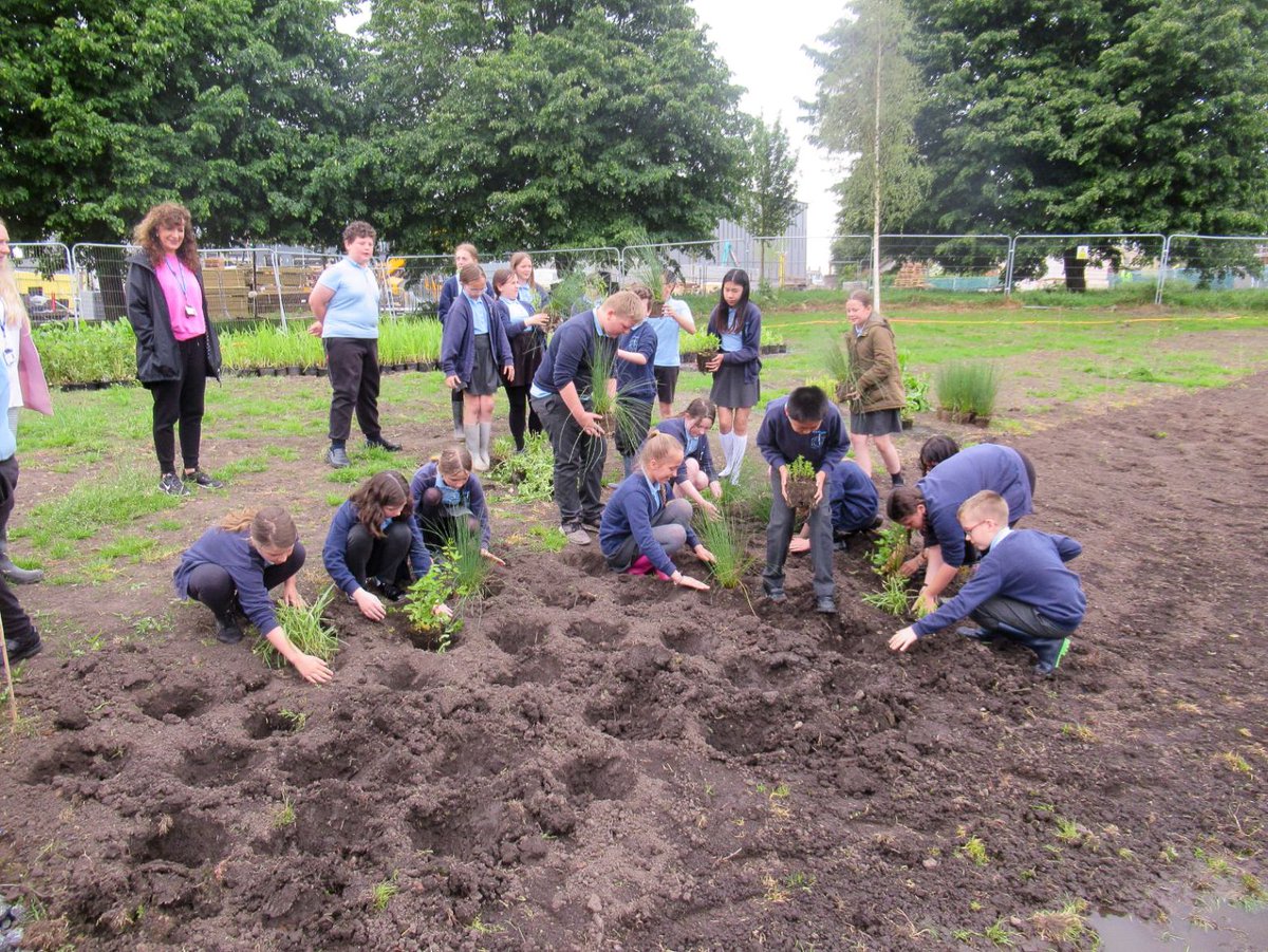 WillmottDixon's tweet image. 🌱A little help goes a long way, and that’s exactly what we got from Northgate Primary School, who have been helping us with the wetlands plantation at @NorthgateYard in #Bridgwater.

@SCFframeworks #SCFvalues