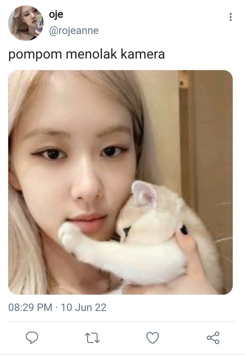 bree tweet media
