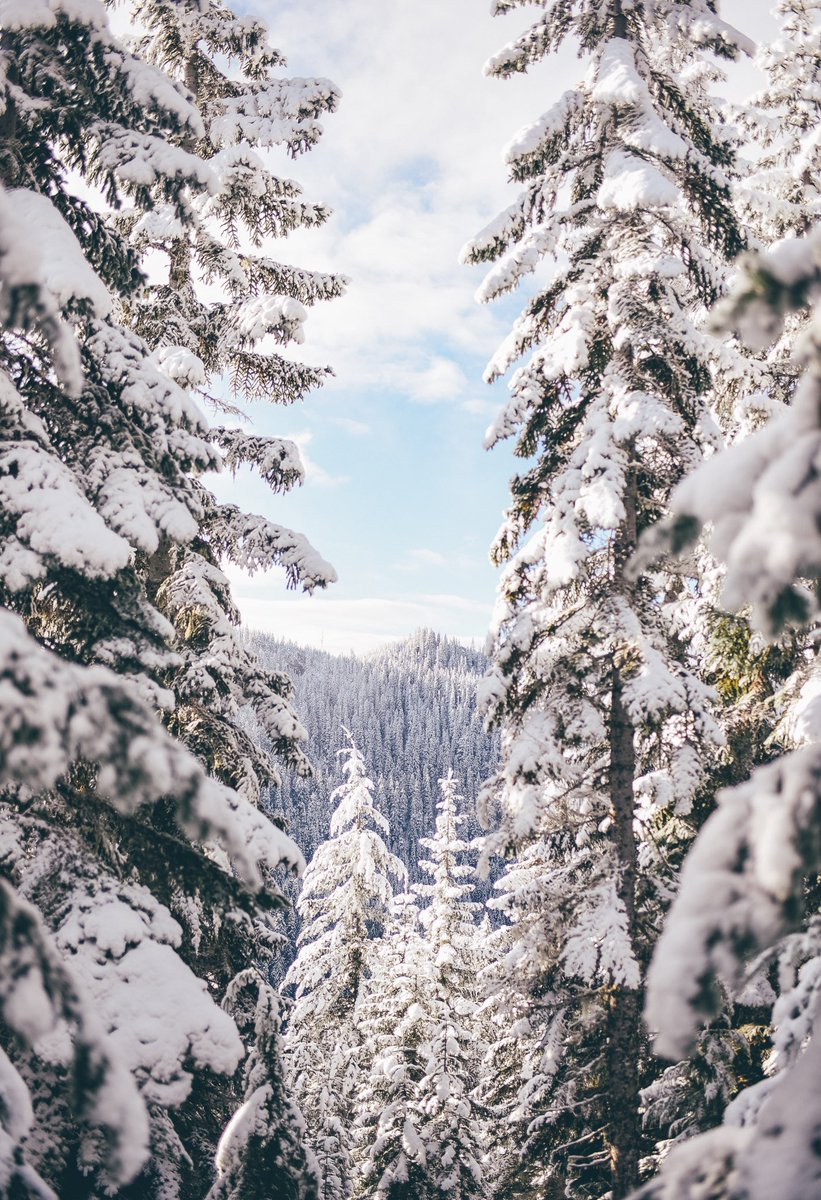 kivraan's tweet photo. From a morning I spent in a winter wonderland. https://t.co/2MnFBoQJ4v