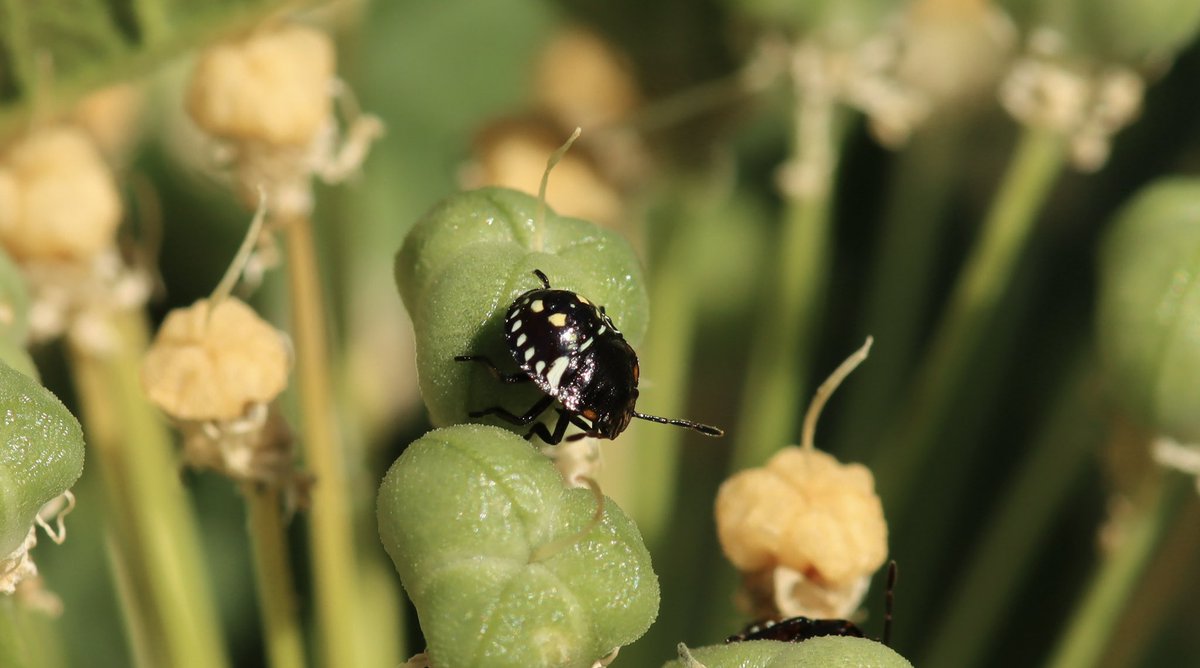 Andy 🇺🇦 tweet media