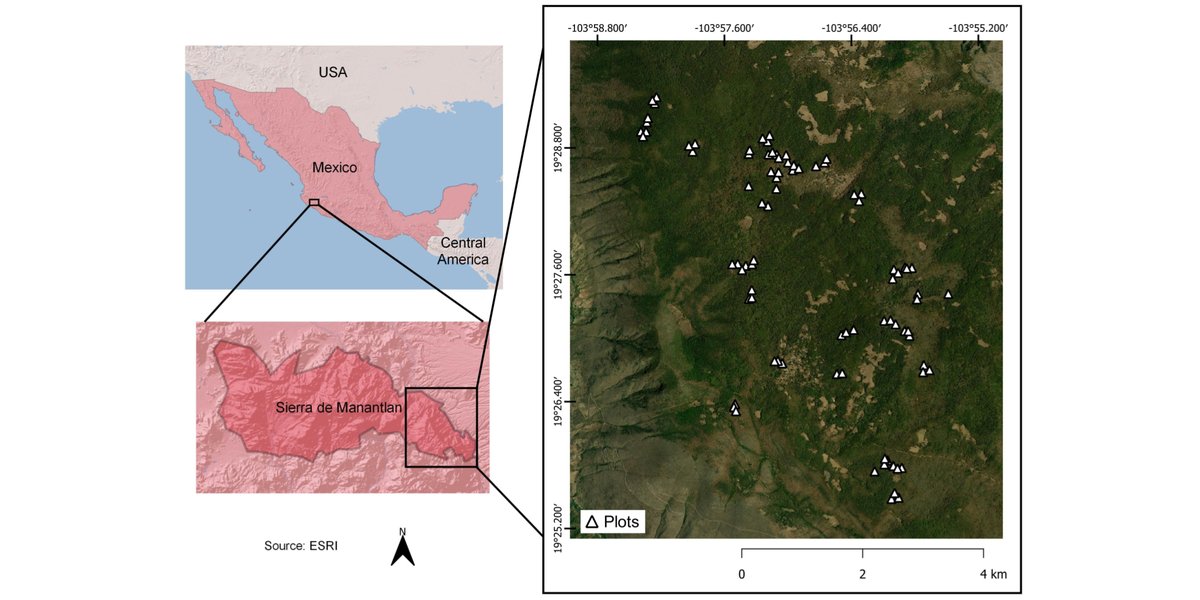 ESAEcosphere's tweet photo. A new study examines the drivers of #oak diversity in Mexico's Sierra de Manantlán Biosphere Reserve

https://t.co/9pANZQc6jt

#MontaneEcosystems #SpatialScale #OpenAccess @CUCSur https://t.co/kggMmsxfh4