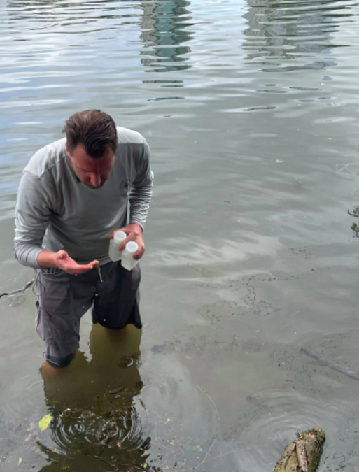 AustinWatershed's tweet photo. Our scientists resumed biweekly monitoring of harmful algae in Lady Bird Lake &amp; Lake Austin and have detected toxins in algae at Red Bud Isle. In the summer of 2019, several dogs died after swimming in Lady Bird Lake during a harmful algae bloom. (1/3) https://t.co/jxJ8AZGu2A