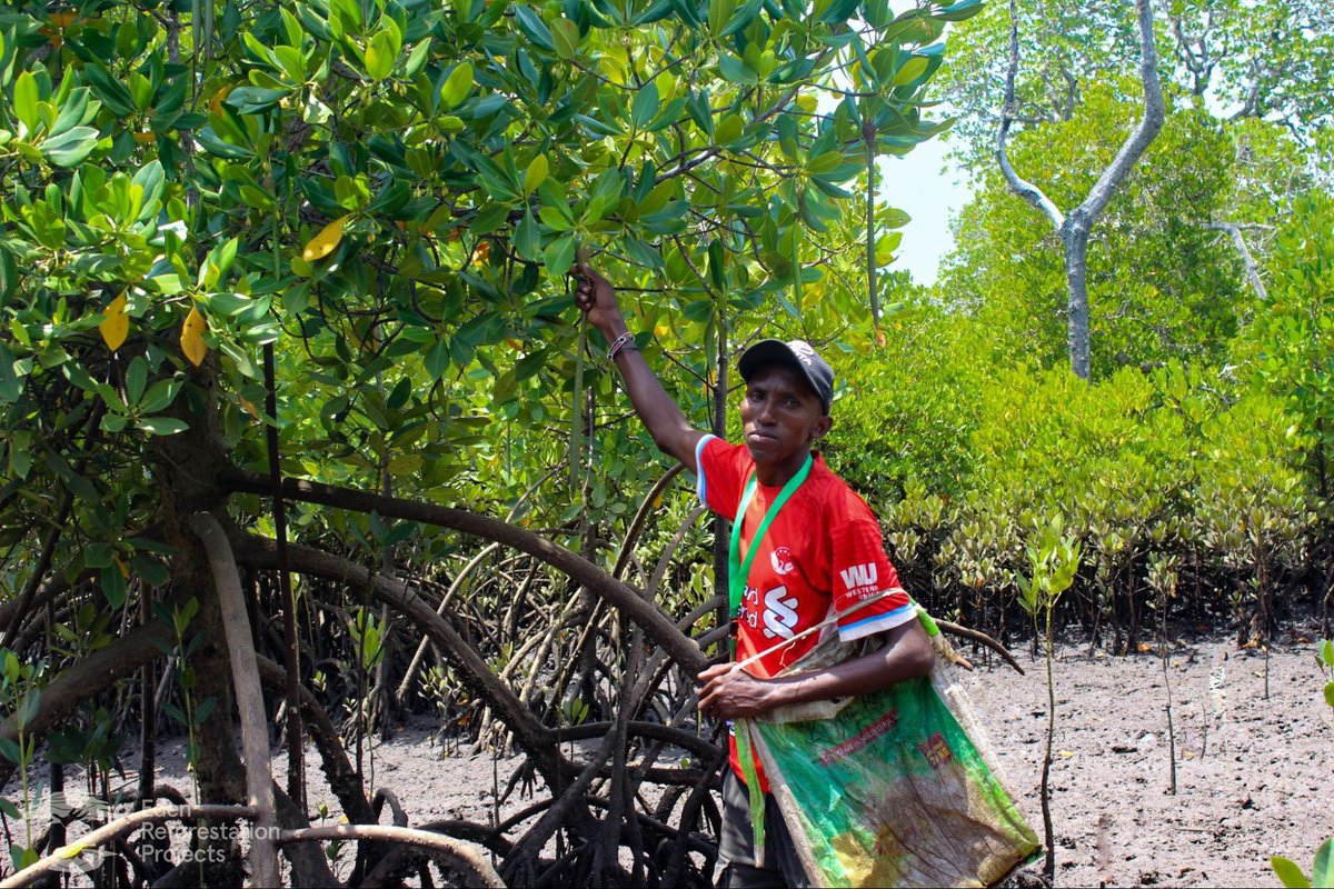 When you use bunq Easy Green to plant a tree for every €100 you spend, you don't just make the world a greener place. You have a real, positive, lasting impact on many people, people like Abdi from @eden_reforest. Check out his amazing story here 👉 bit.ly/3xfmEdo