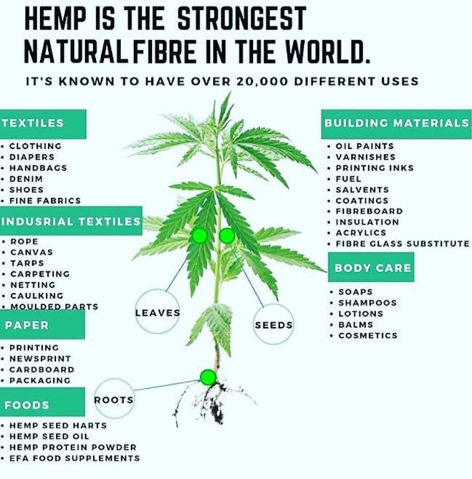 Plants over everything ✨💖🌱